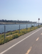 A journey along PCH1 – A must see Californian experience.