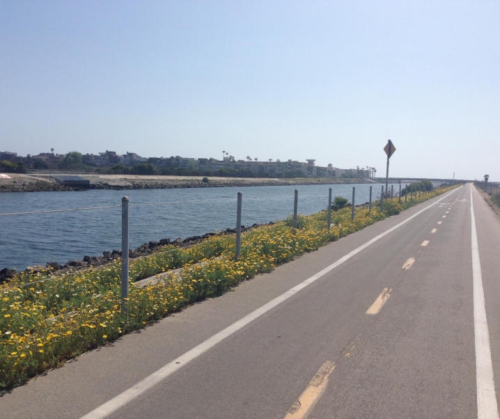 Manhattan Beach to Santa Monica Bike ride.
