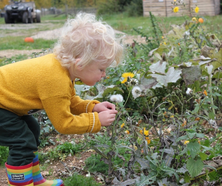 Toddler tantrums.