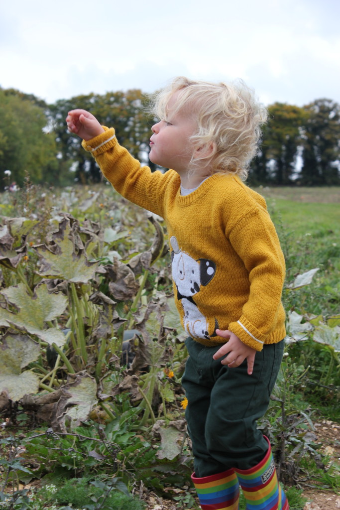 Toddler tantrums. Lara Joanna Jarvis Toddler tantrums. Lara Joanna Jarvis