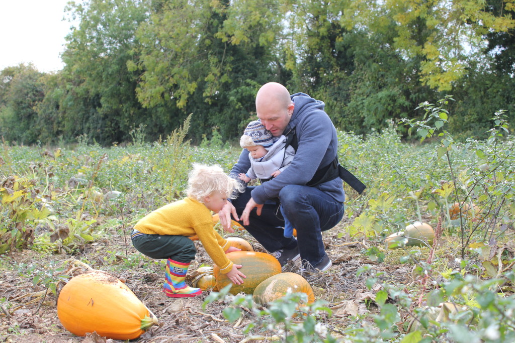 Pick Your Own Pumpkin. Lara Joanna Jarvis