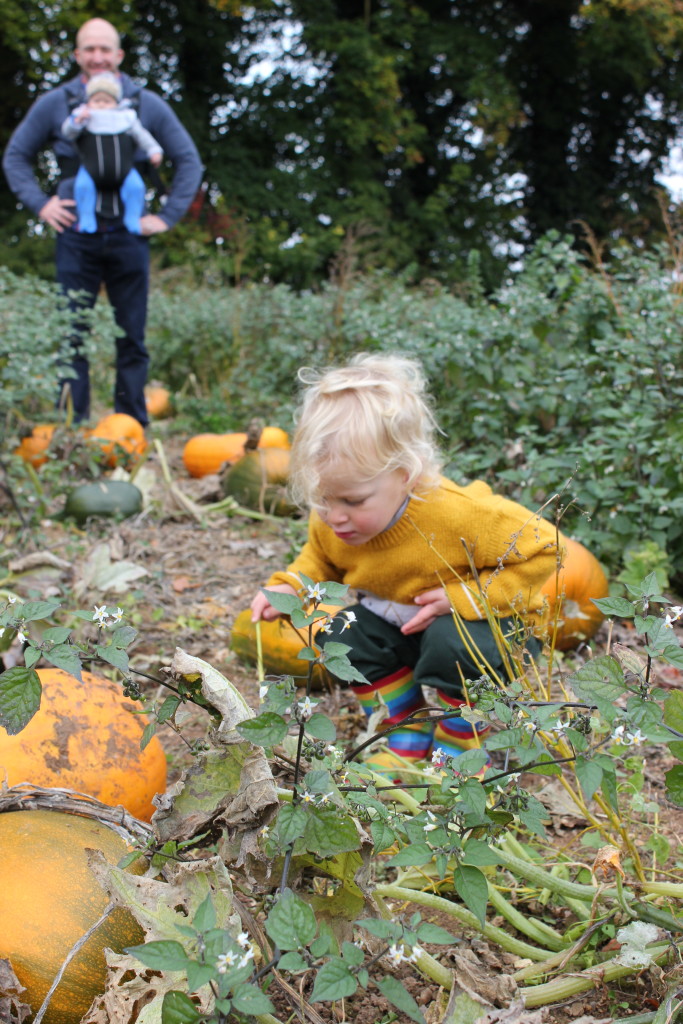 Pick Your Own Pumpkin. Lara Joanna Jarvis