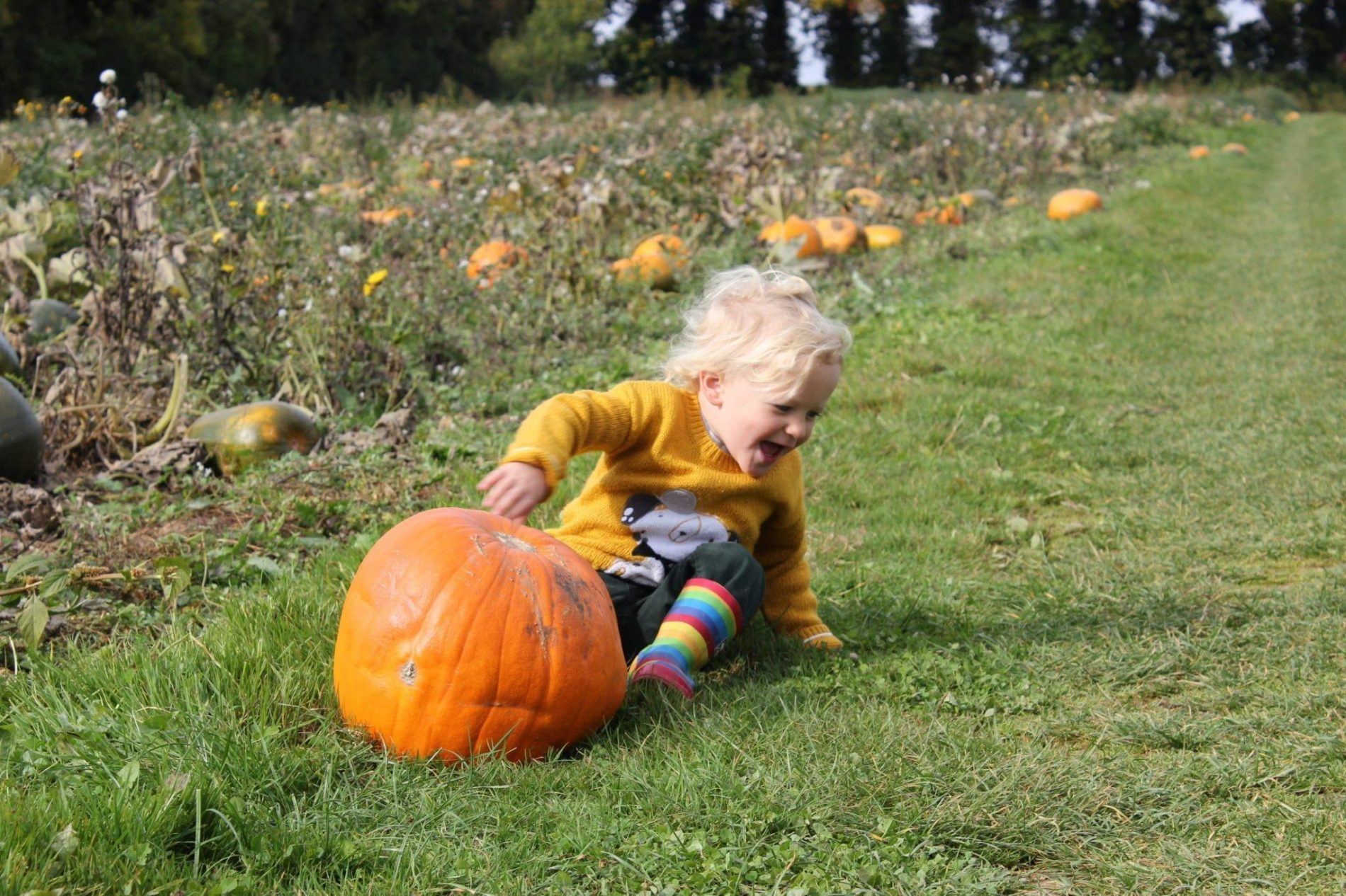 We're all falling into autumn and picking our own pumpkins