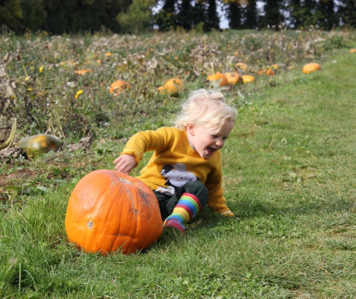 Pick Your Own Pumpkin.