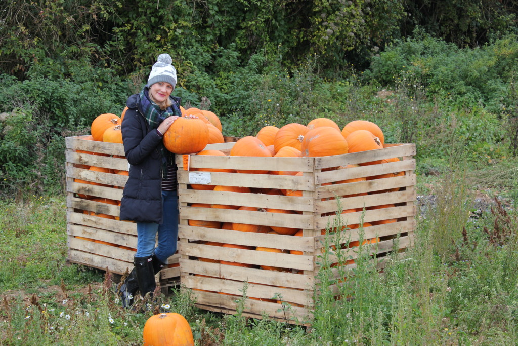 Pick Your Own Pumpkin. Lara Joanna Jarvis