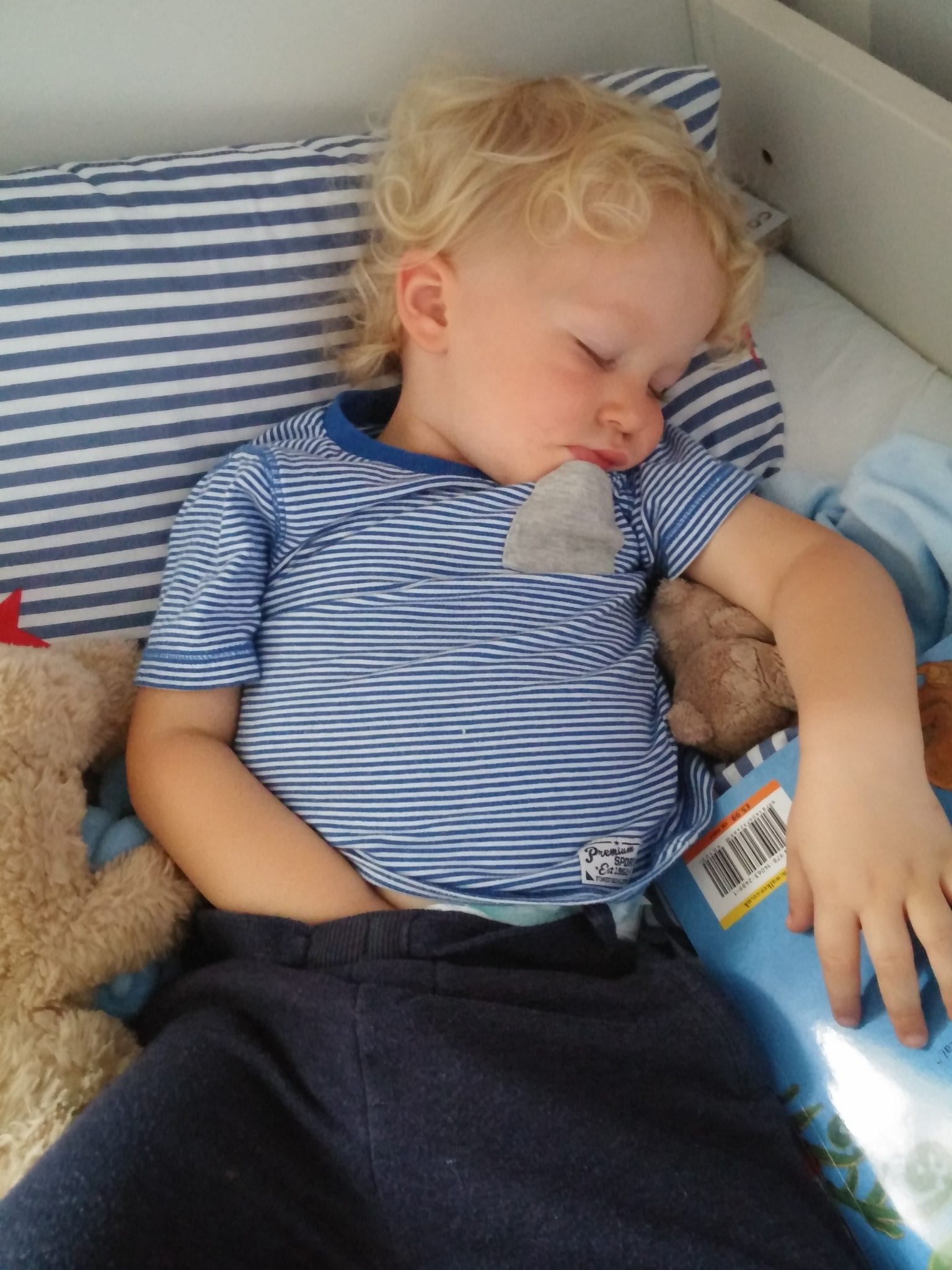 When will my toddler give up the nap? Lara Joanna Jarvis When will my toddler give up the nap? Lara Joanna Jarvis