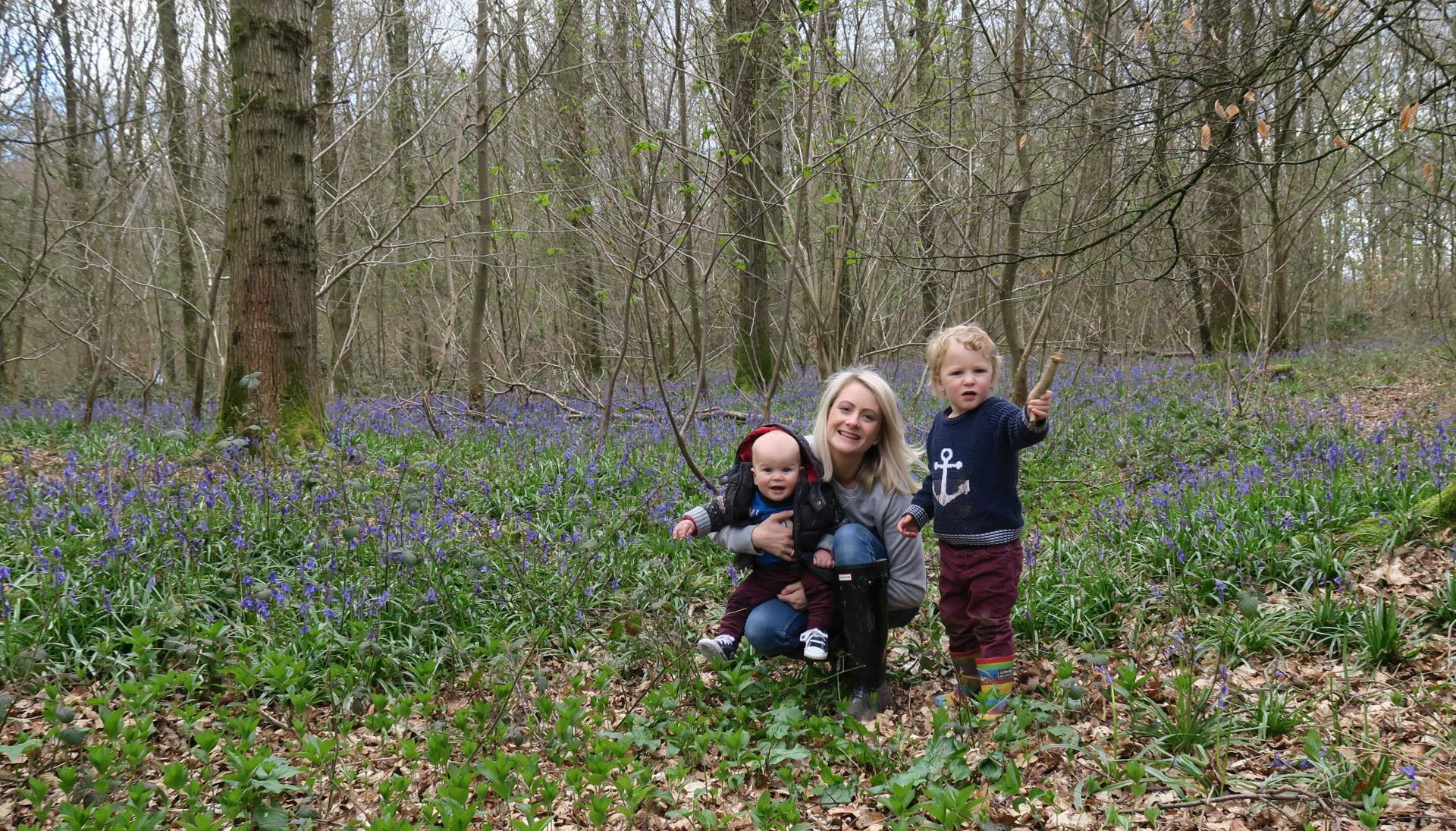 Micheldever Woods, a family update. Lara Joanna Jarvis