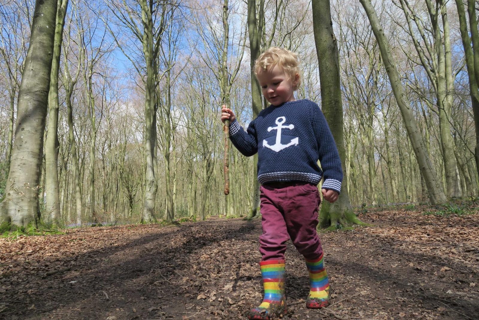 Micheldever Woods, a family update. Lara Joanna Jarvis