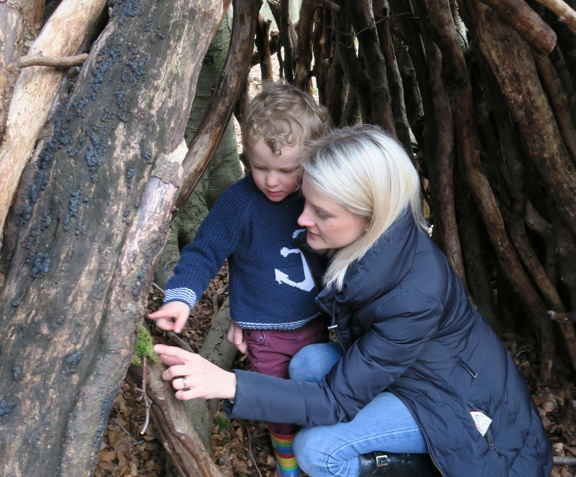 Micheldever Woods, a family update. Lara Joanna Jarvis