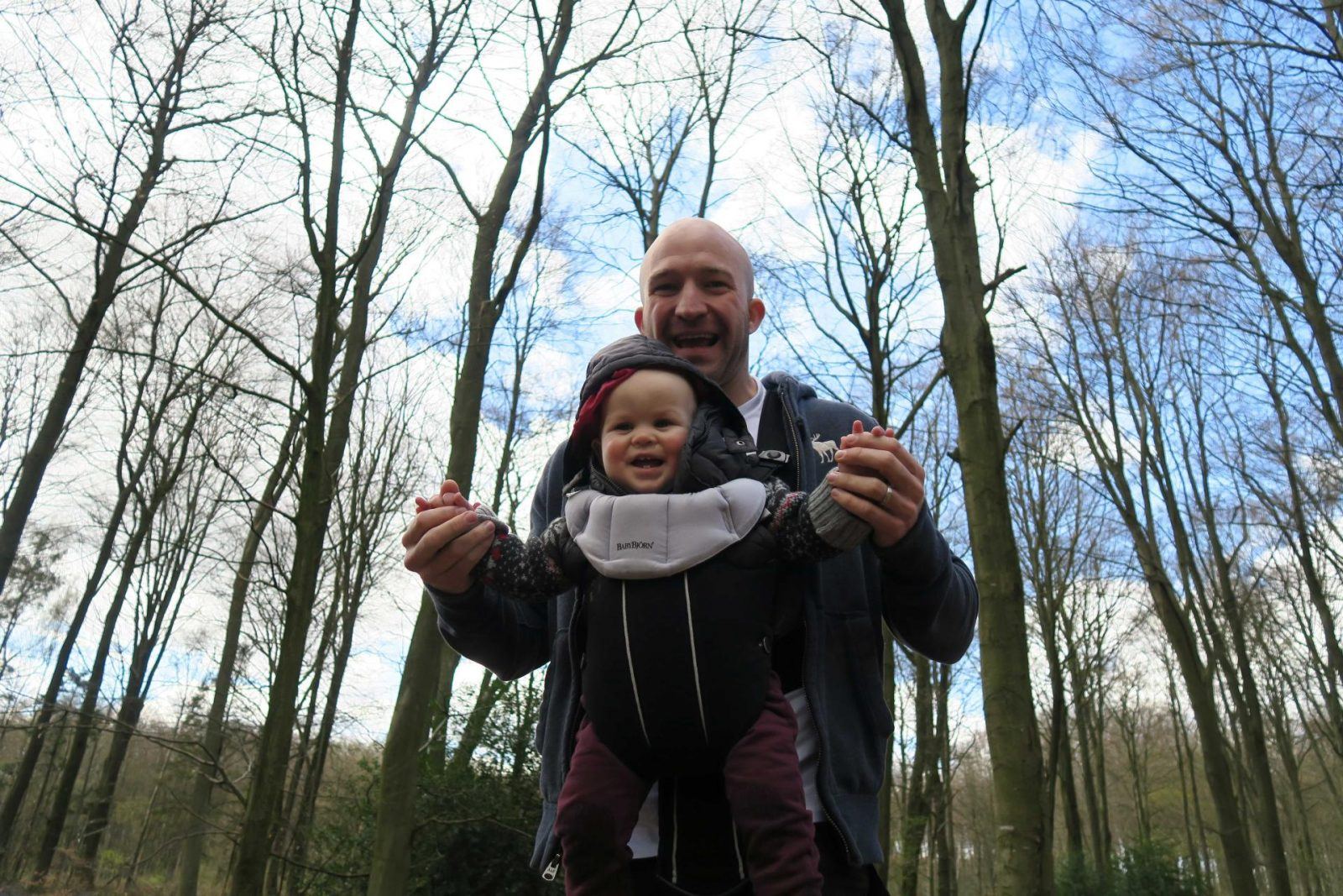 Micheldever Woods, a family update. Lara Joanna Jarvis