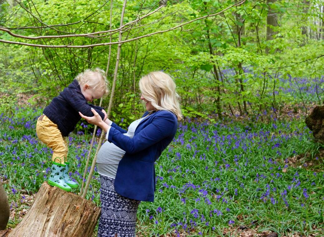 Micheldever Woods, a family update. Lara Joanna Jarvis