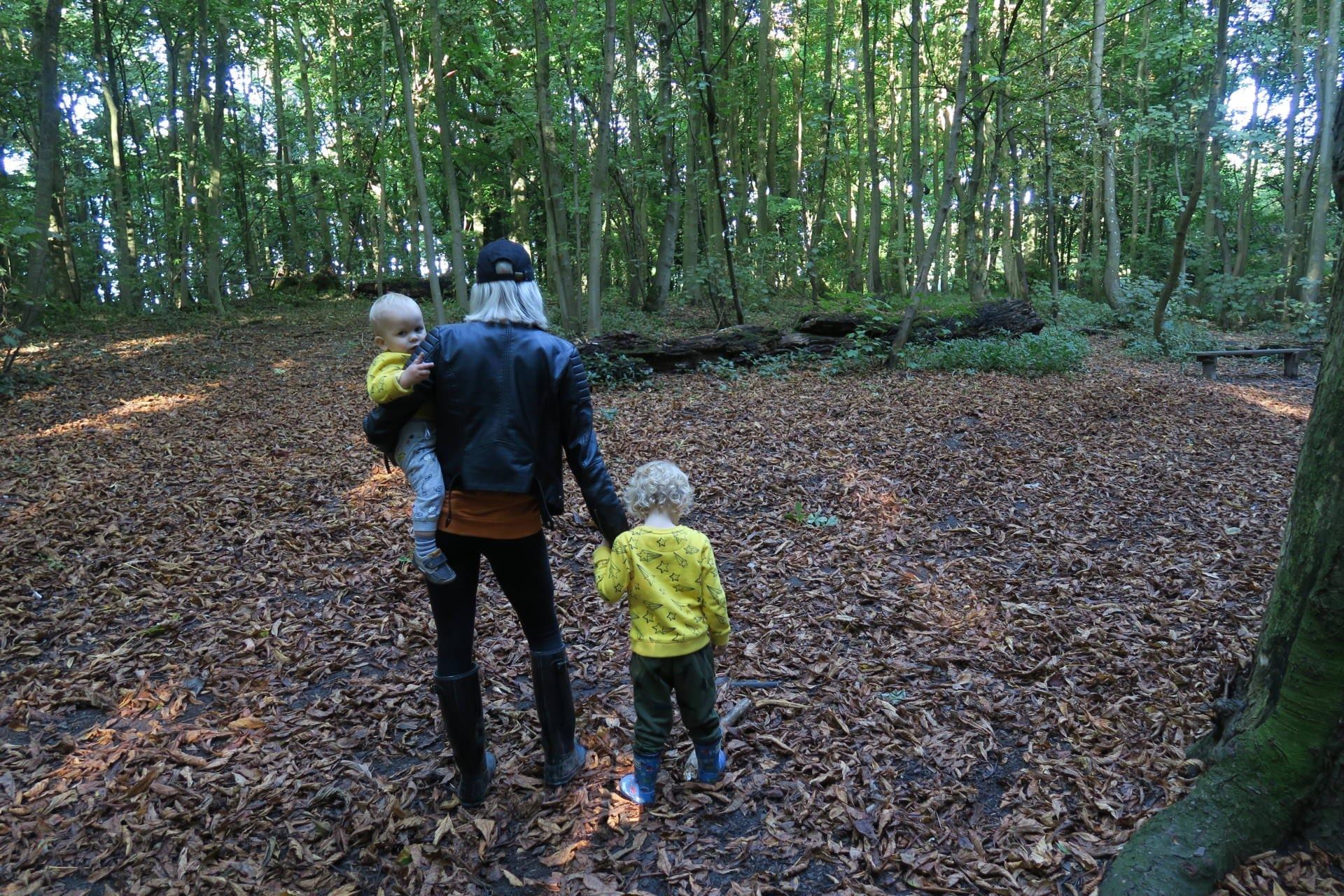 Preschool Adventures. Lara Joanna Jarvis