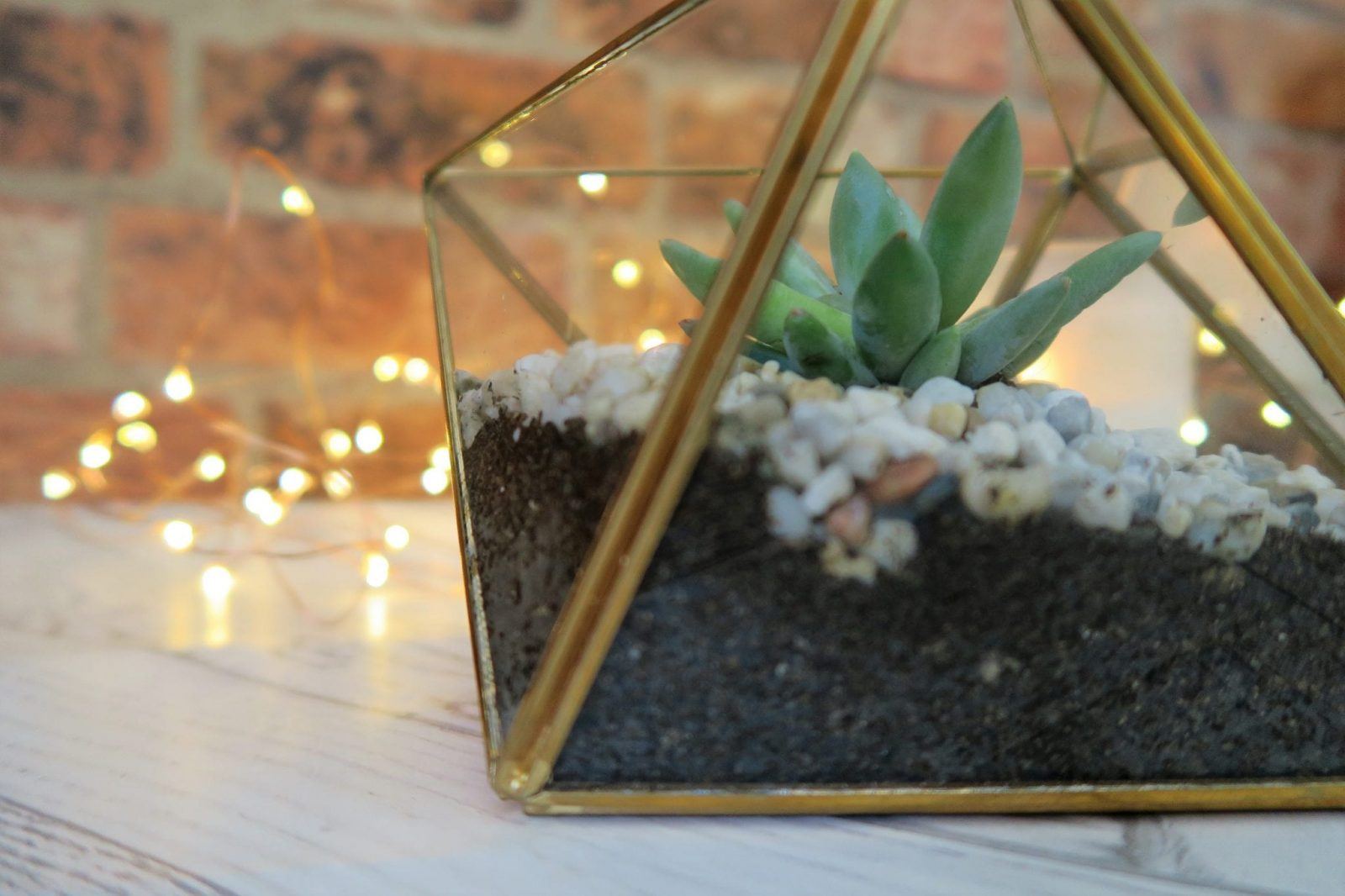 How To Make A Succulent Terrarium DIY Tutorial