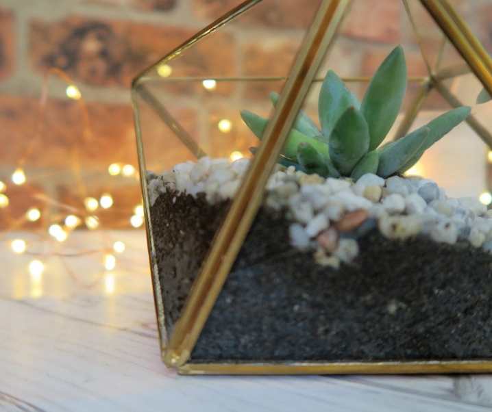 How To Make A Succulent Terrarium | DIY Tutorial