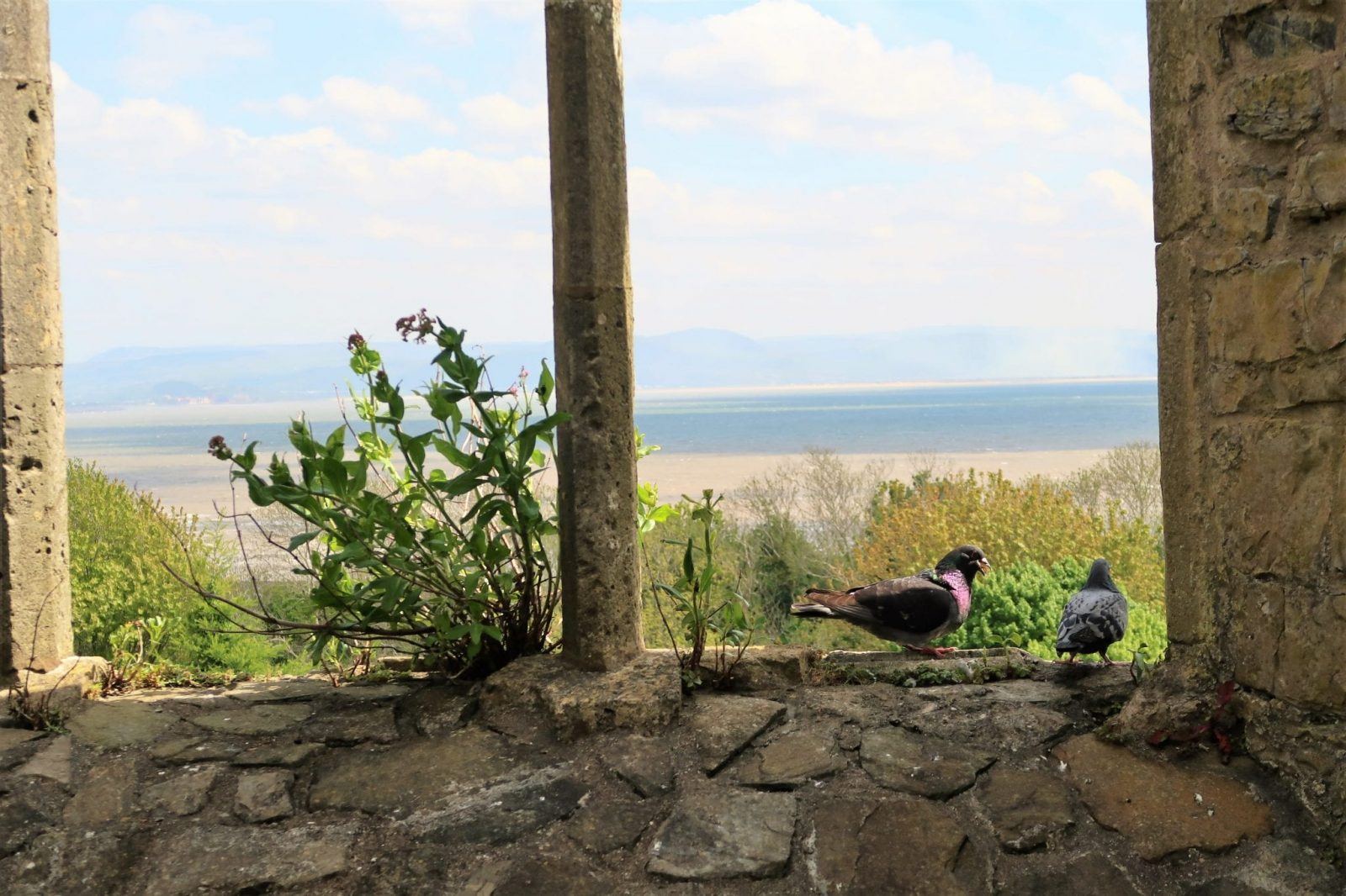 Things To Do In Swansea Bay | Gower Peninsula Lara Joanna Jarvis