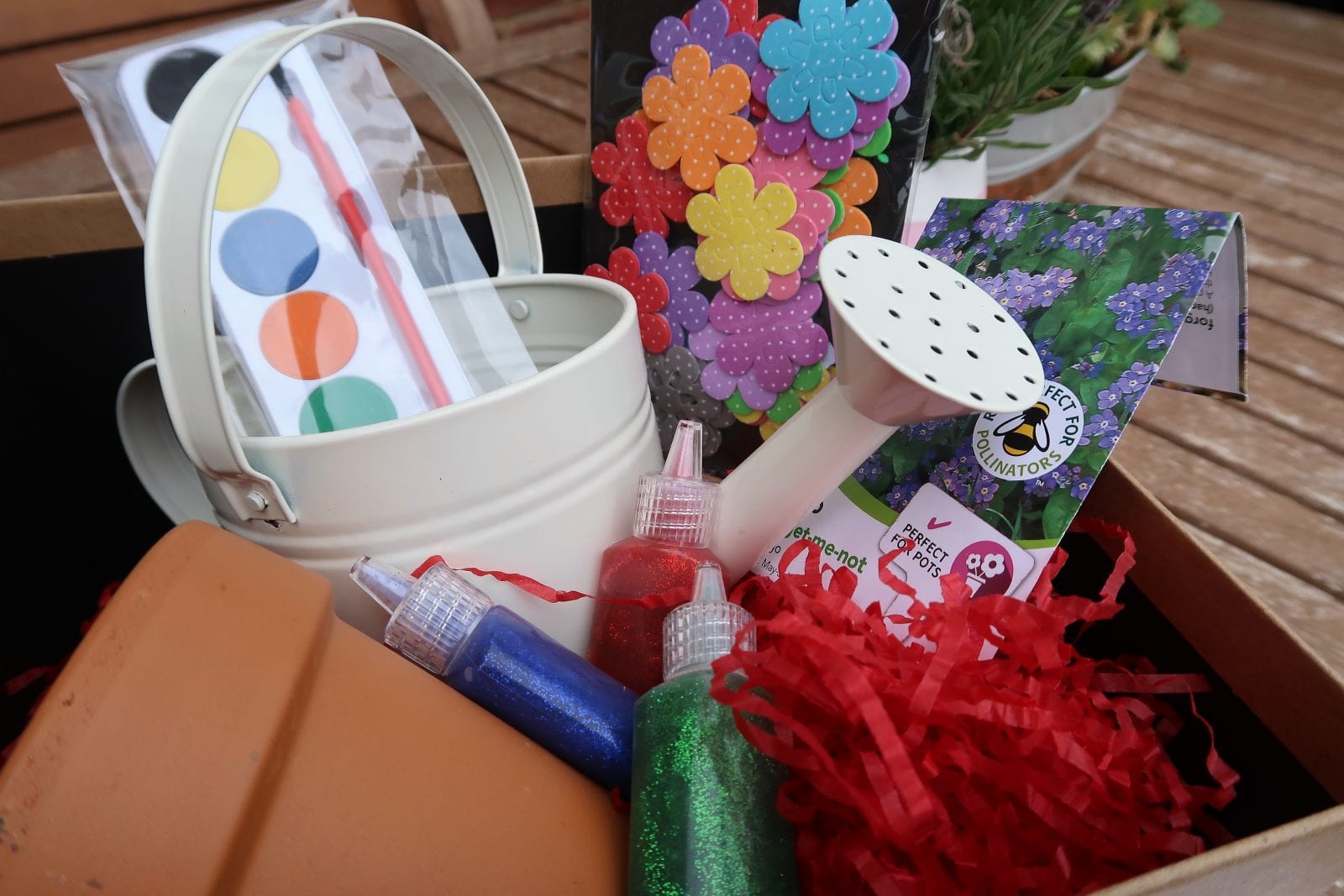 Forget Me Not | Dementia Awareness Week. Lara Joanna Jarvis
