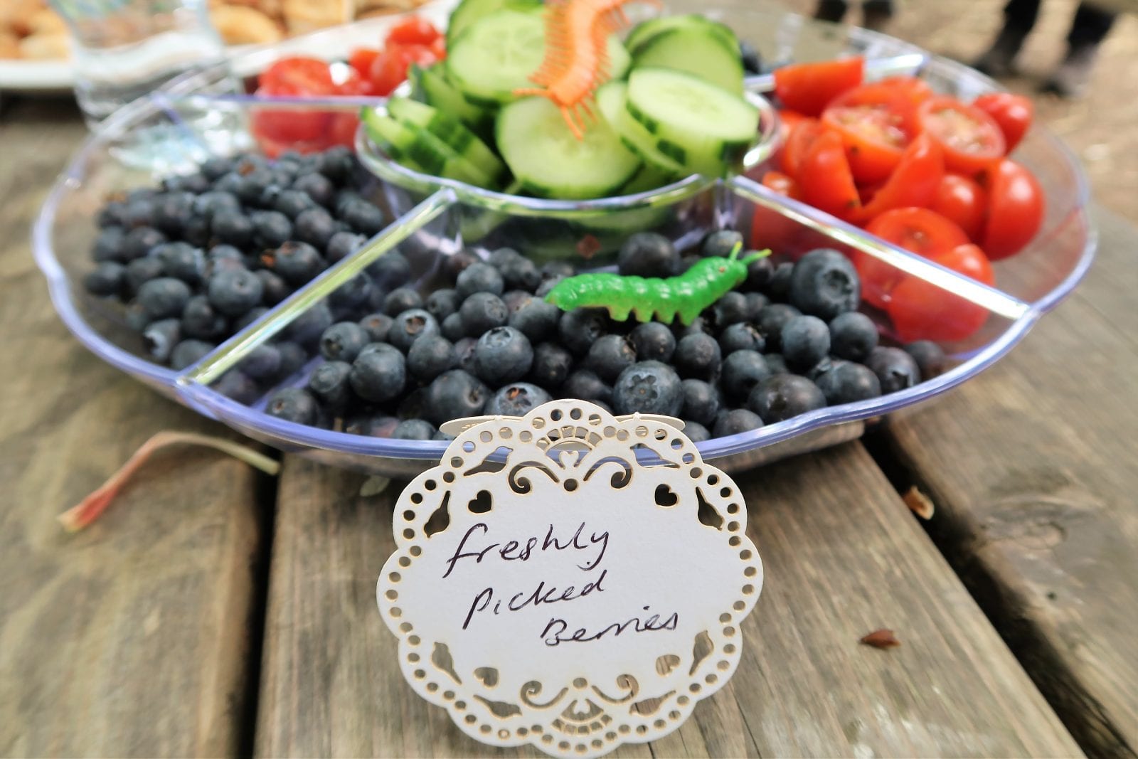 Woodland Children's Party Ideas Lara Joanna Jarvis
