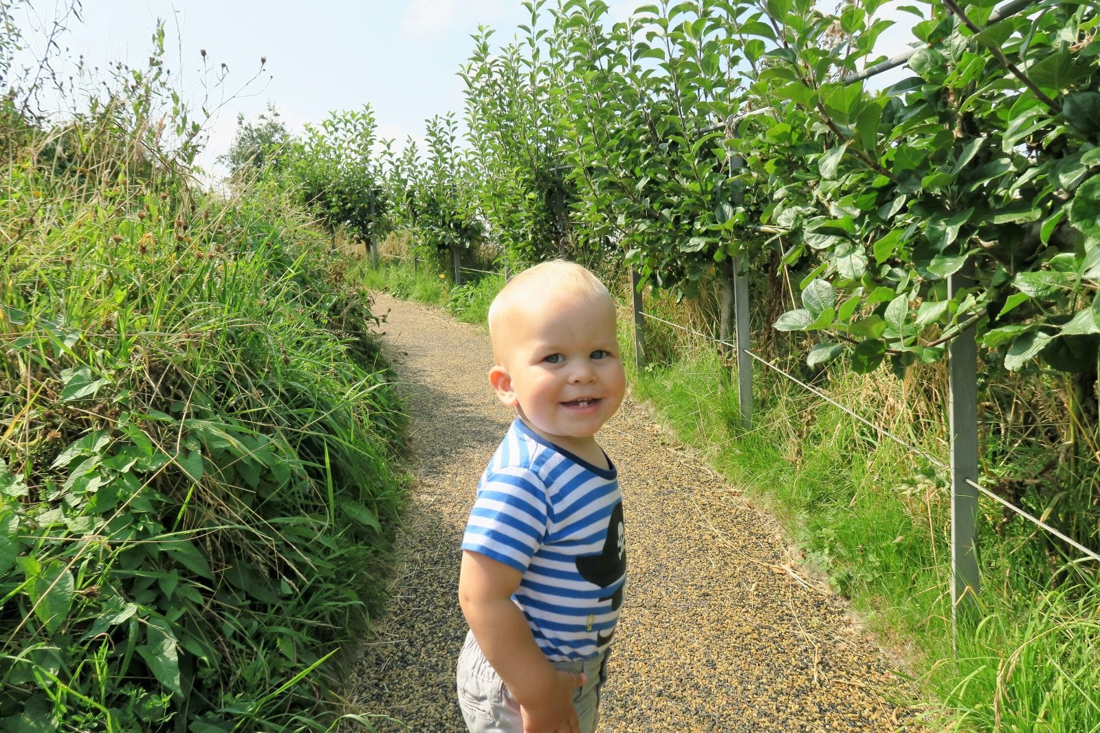 George, You Are Two. Lara Joanna Jarvis
