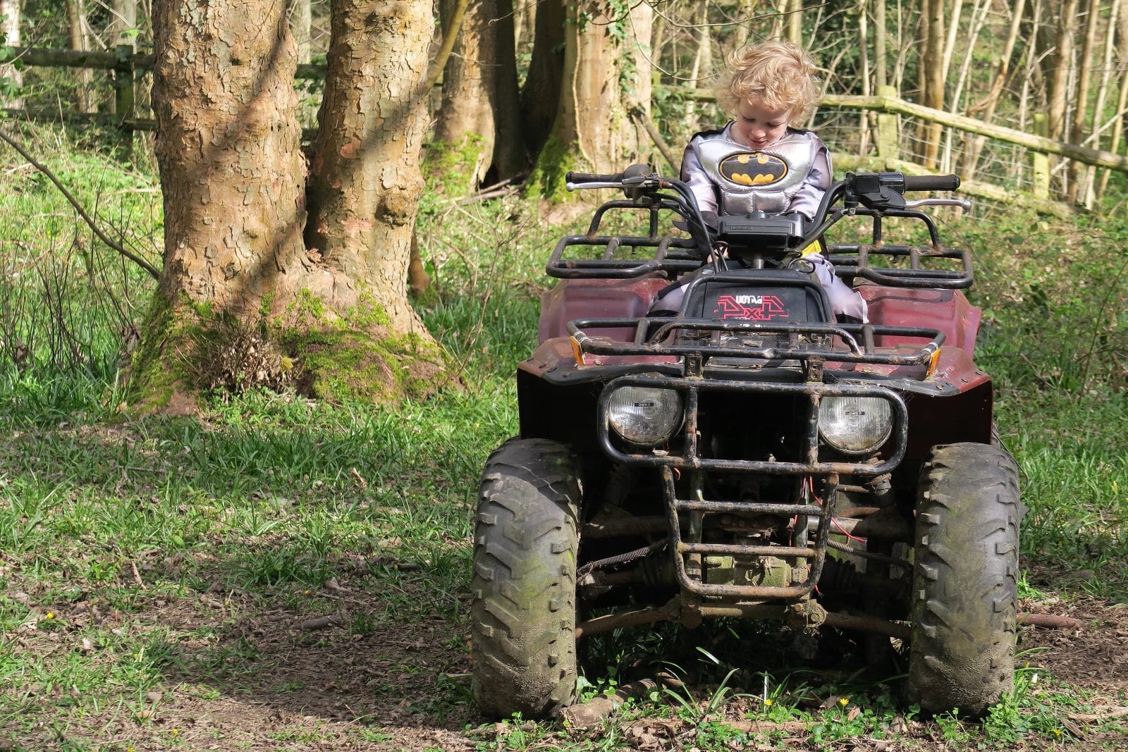Henry, You Are Four. Lara Joanna Jarvis