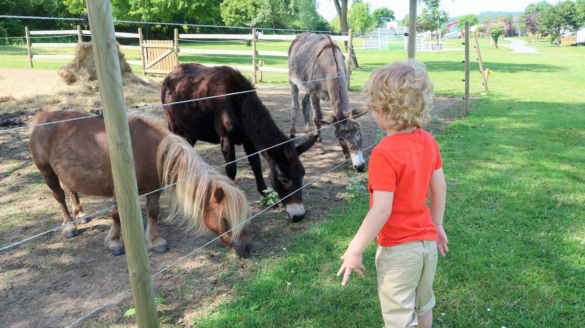 What to Expect from a Eurocamp Holiday. Lara Joanna Jarvis What to Expect from a Eurocamp Holiday. Lara Joanna Jarvis