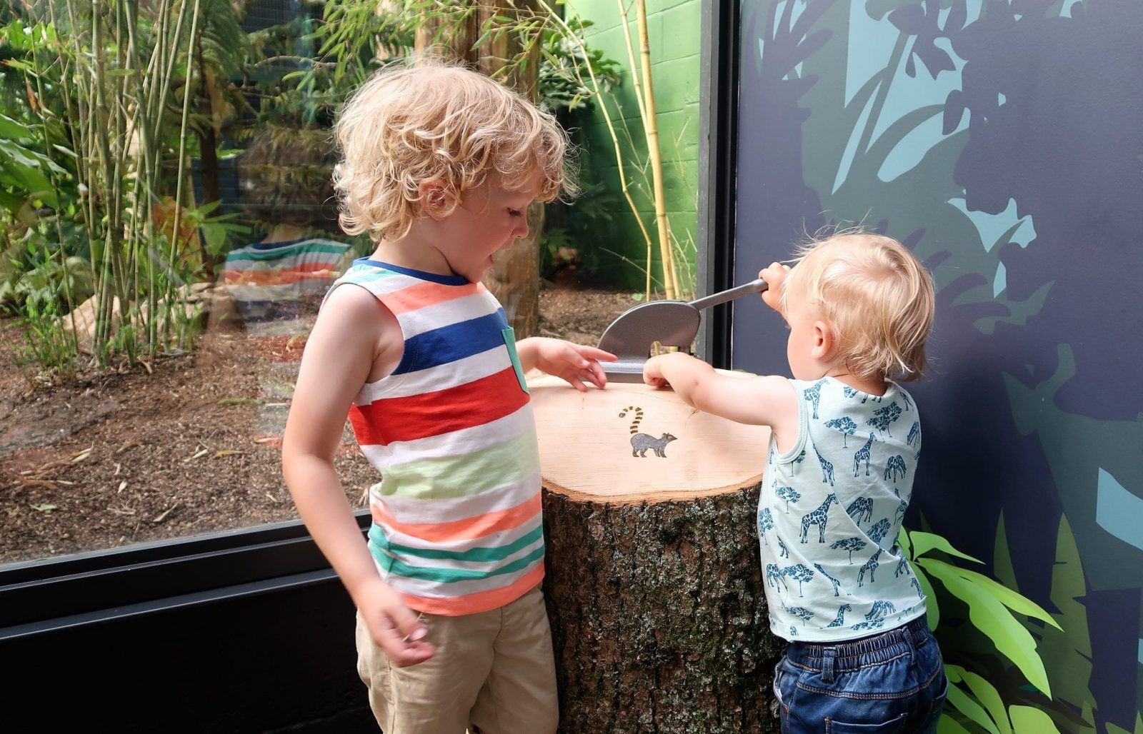 New Lemur Loop Attraction at Marwell Zoo Lara Joanna Jarvis