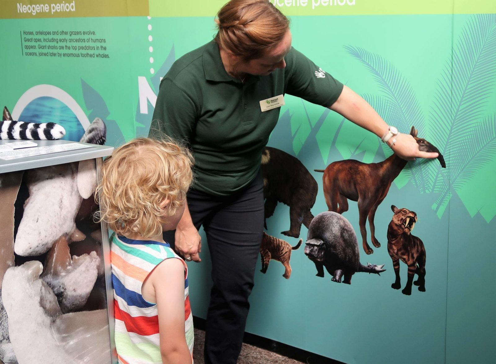 New Lemur Loop Attraction at Marwell Zoo Lara Joanna Jarvis
