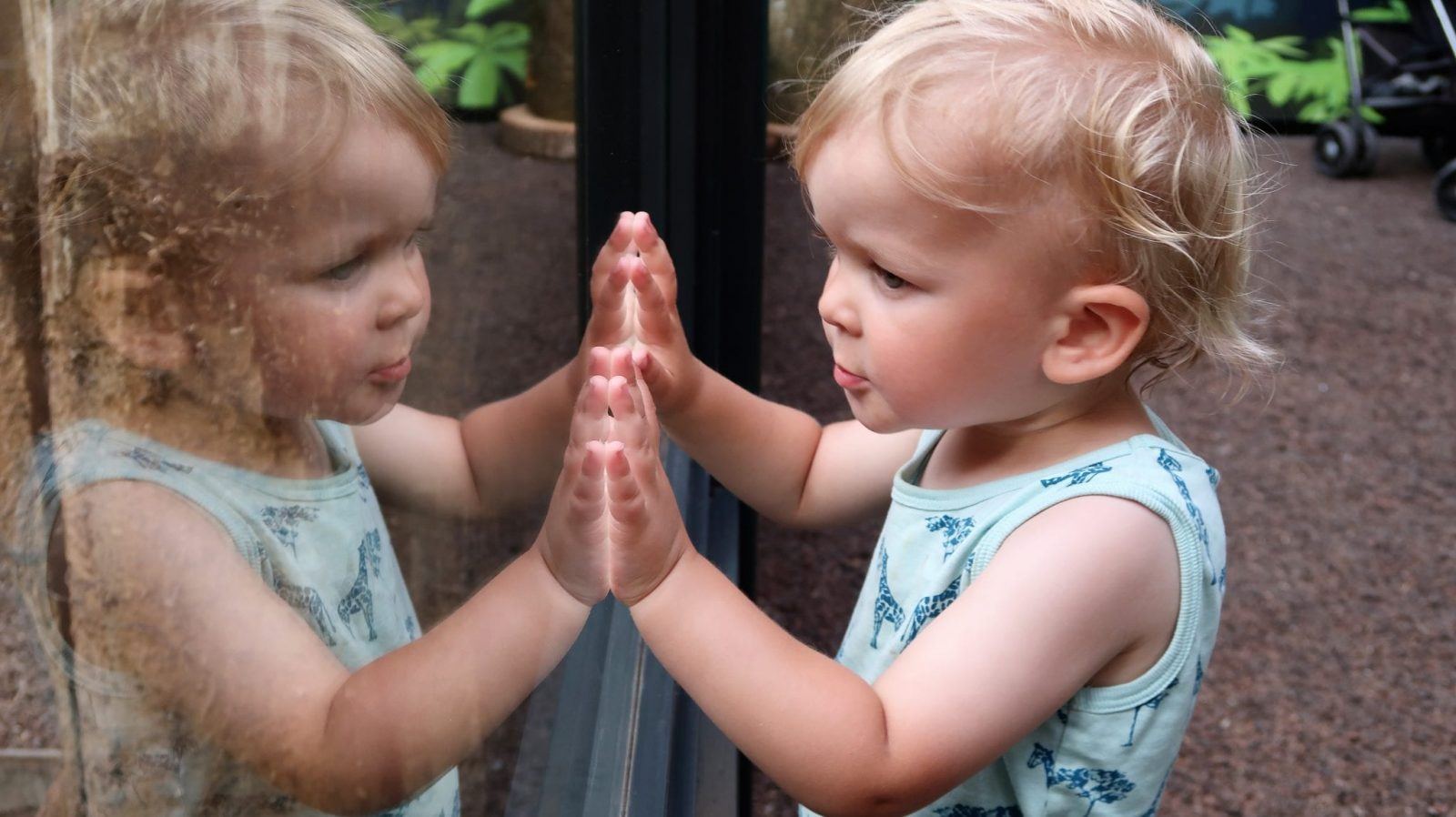 stress free trips for traveling with a baby The travel diaries with a baby,