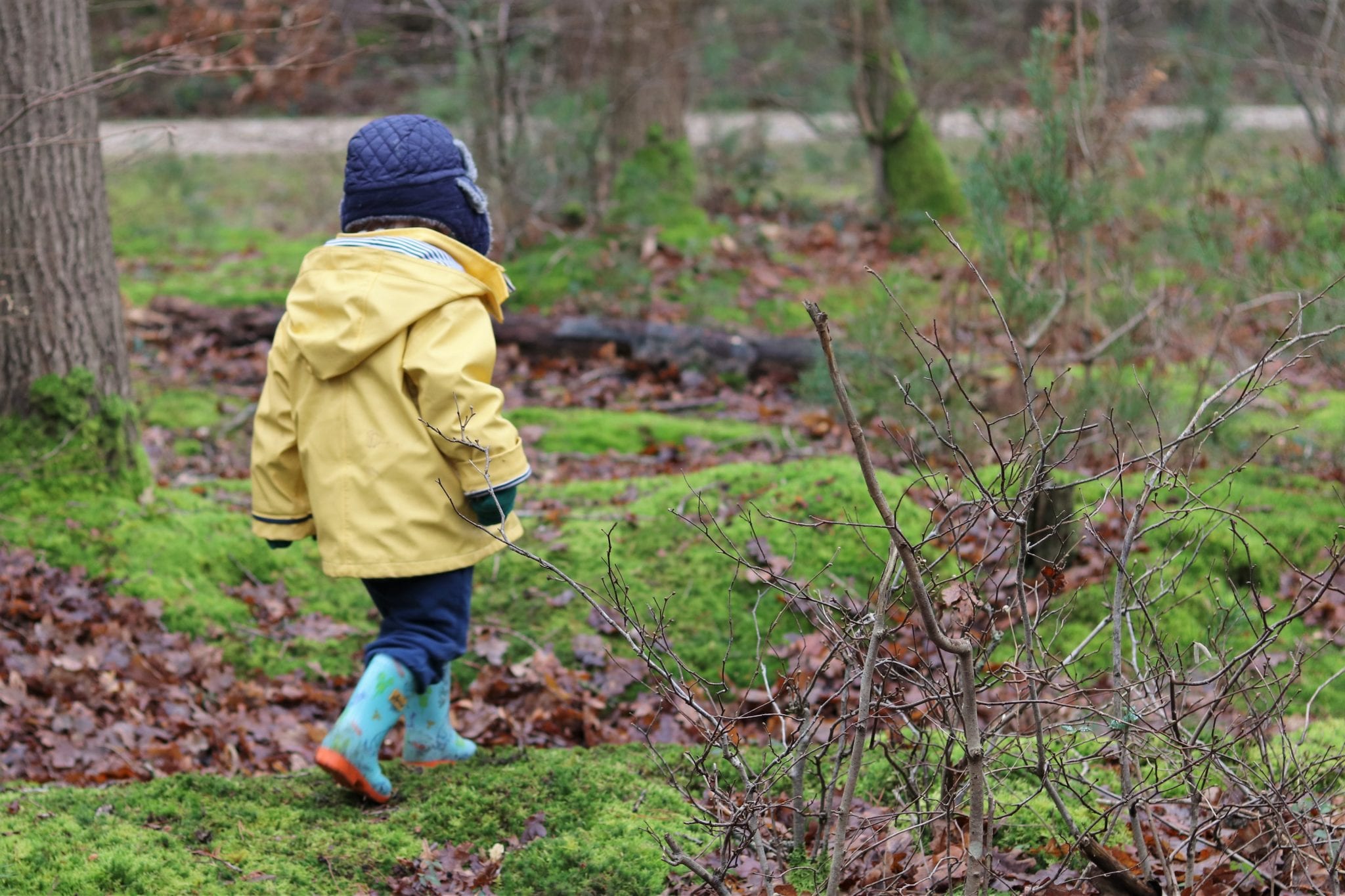 Winter Walks As A Family Of 4. Lara Joanna Jarvis