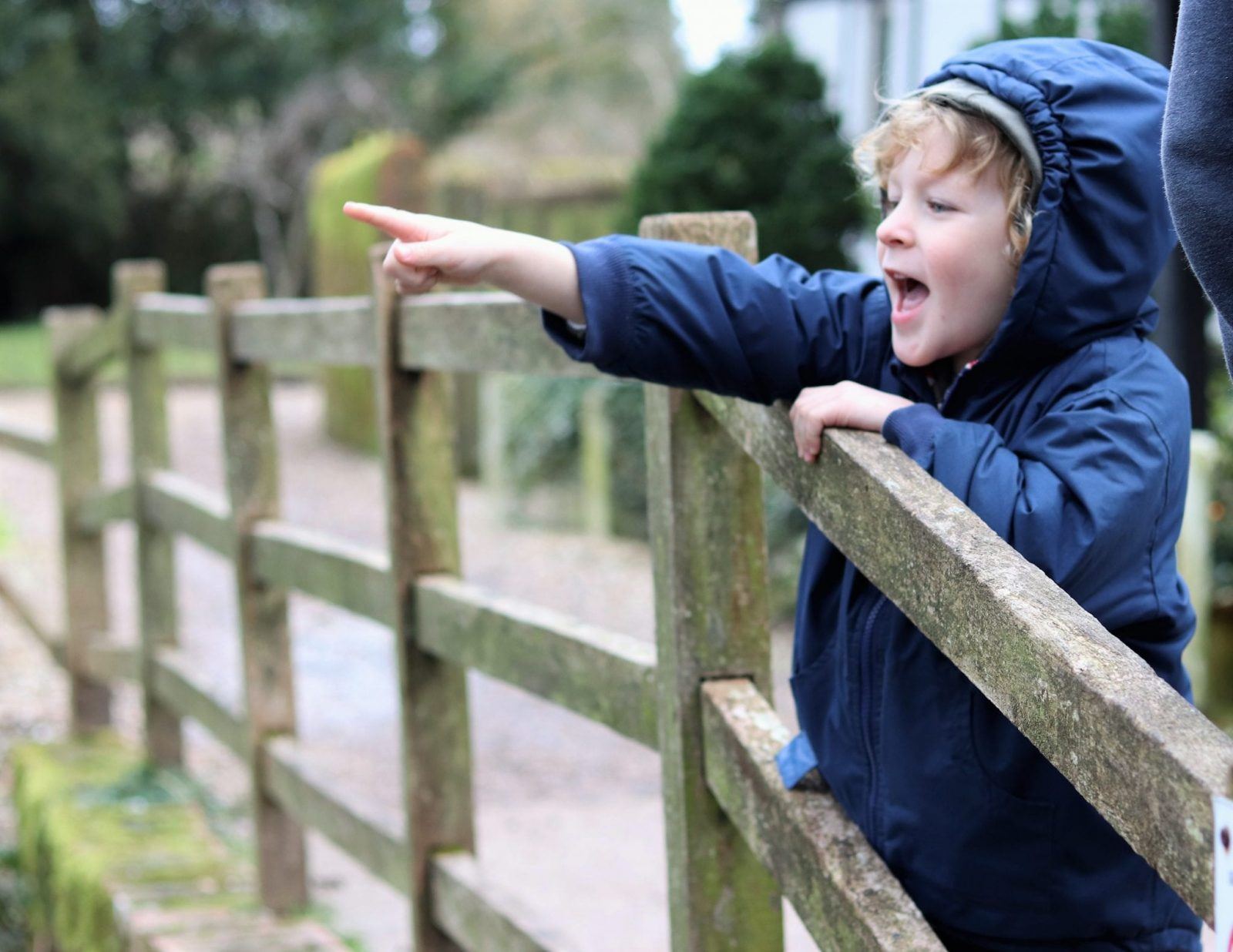 Fearfully feeding the ducks