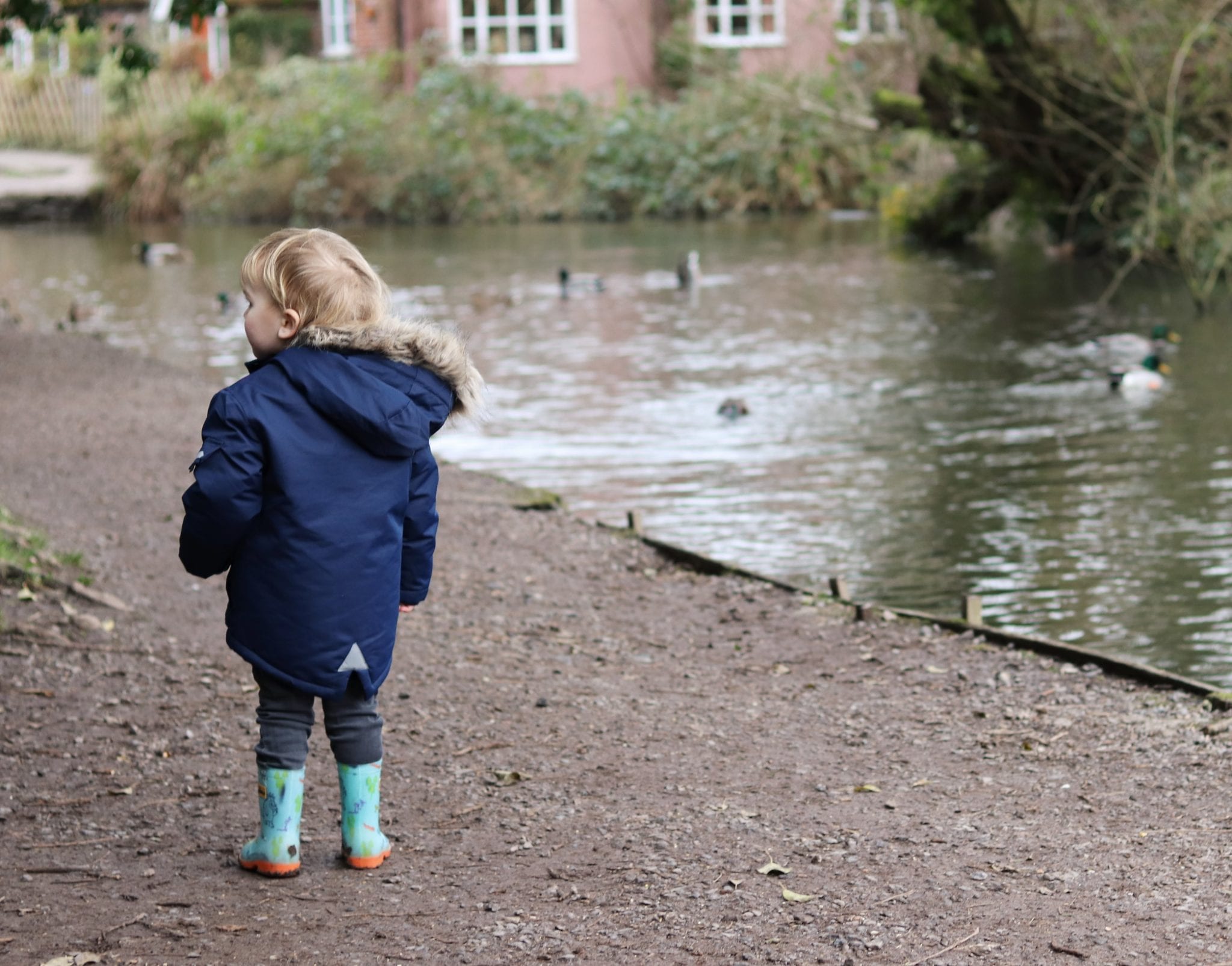 Fearfully Feeding The Ducks Lara Joanna Jarvis