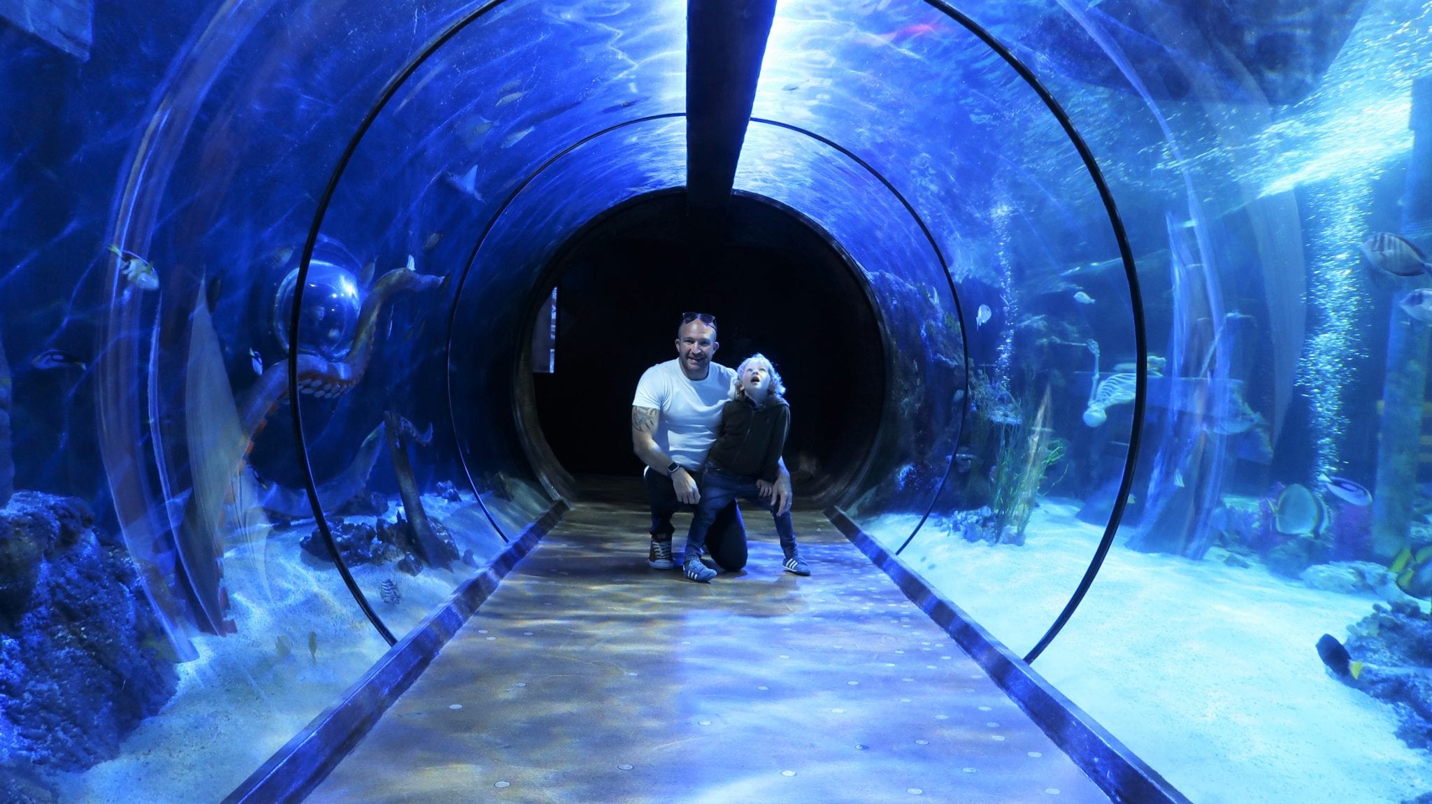 22 Fun Things For Children At Alton Towers Before They're 1.4m Lara Joanna Jarvis 22 Fun Things For Children At Alton Towers Before They're 1.4m Lara Joanna Jarvis
