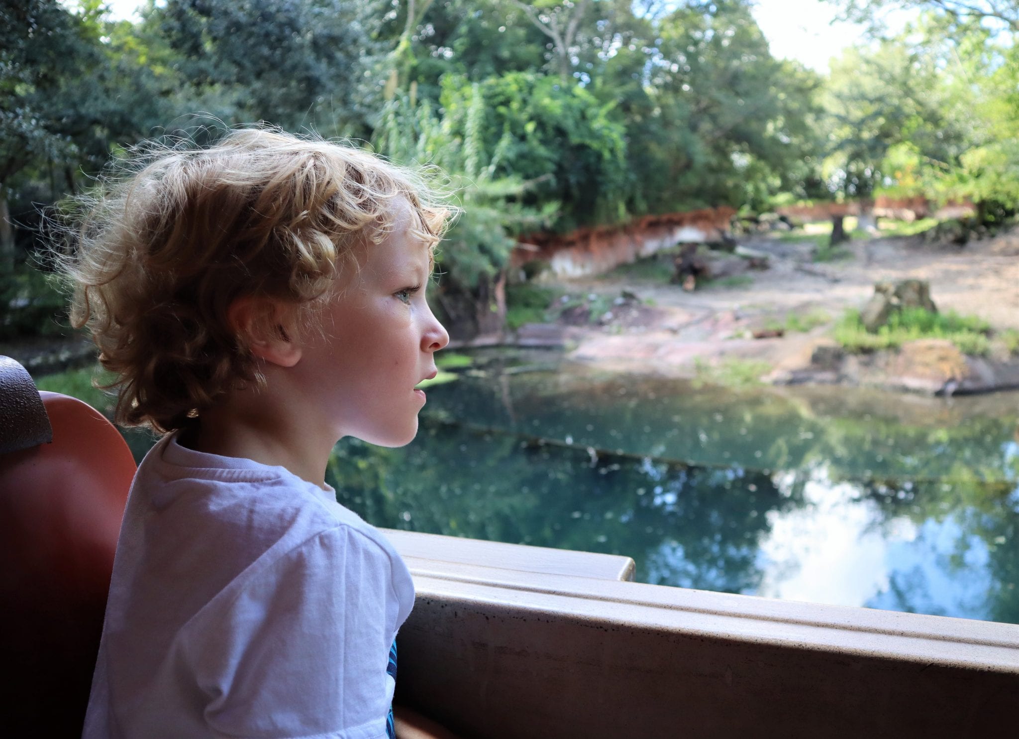 What Is The Best Age To Take Kids To Disney World? Young Family Travel Tips. Lara Joanna Jarvis