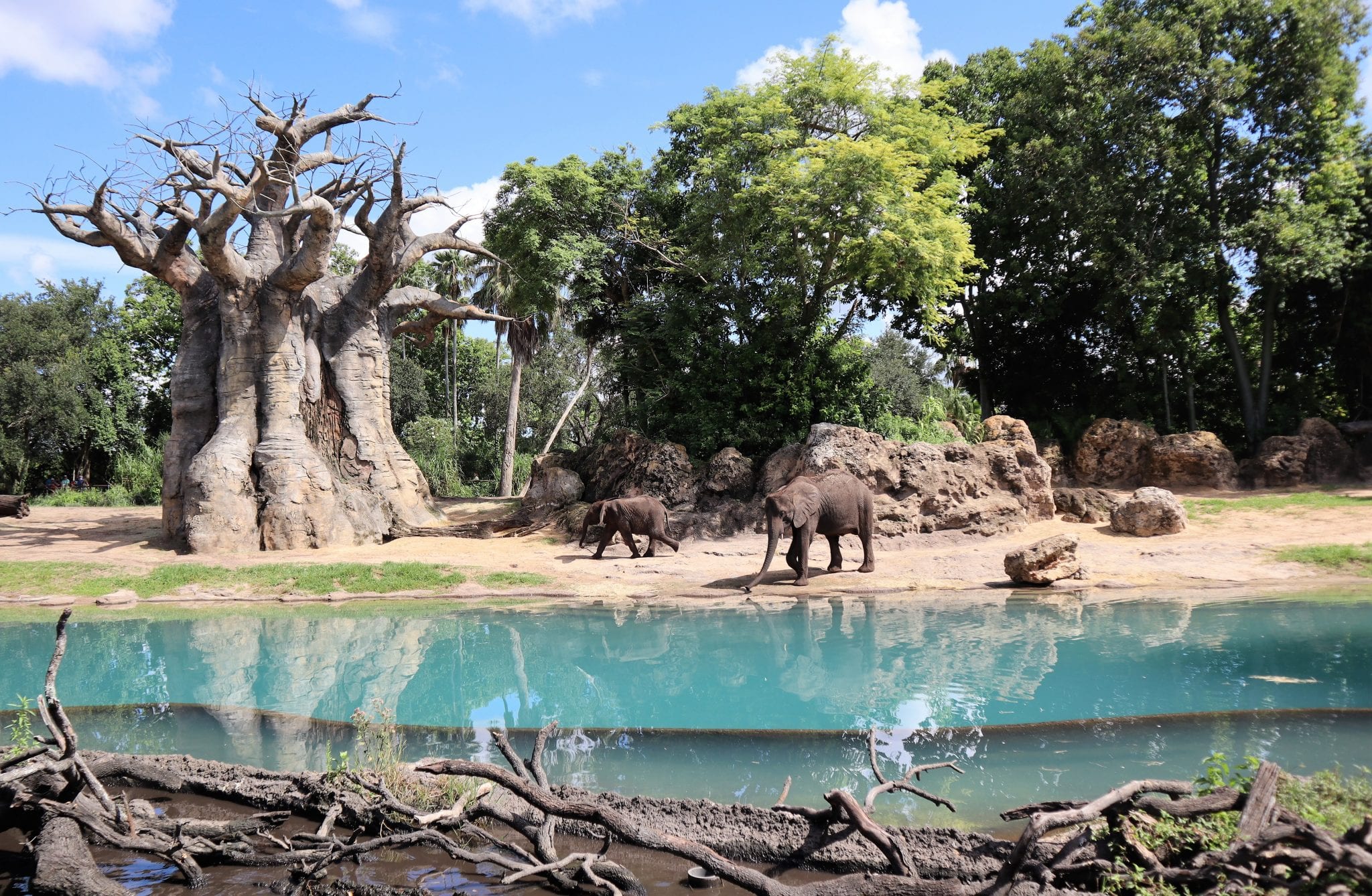 What Is The Best Age To Take Kids To Disney World? Young Family Travel Tips. Lara Joanna Jarvis