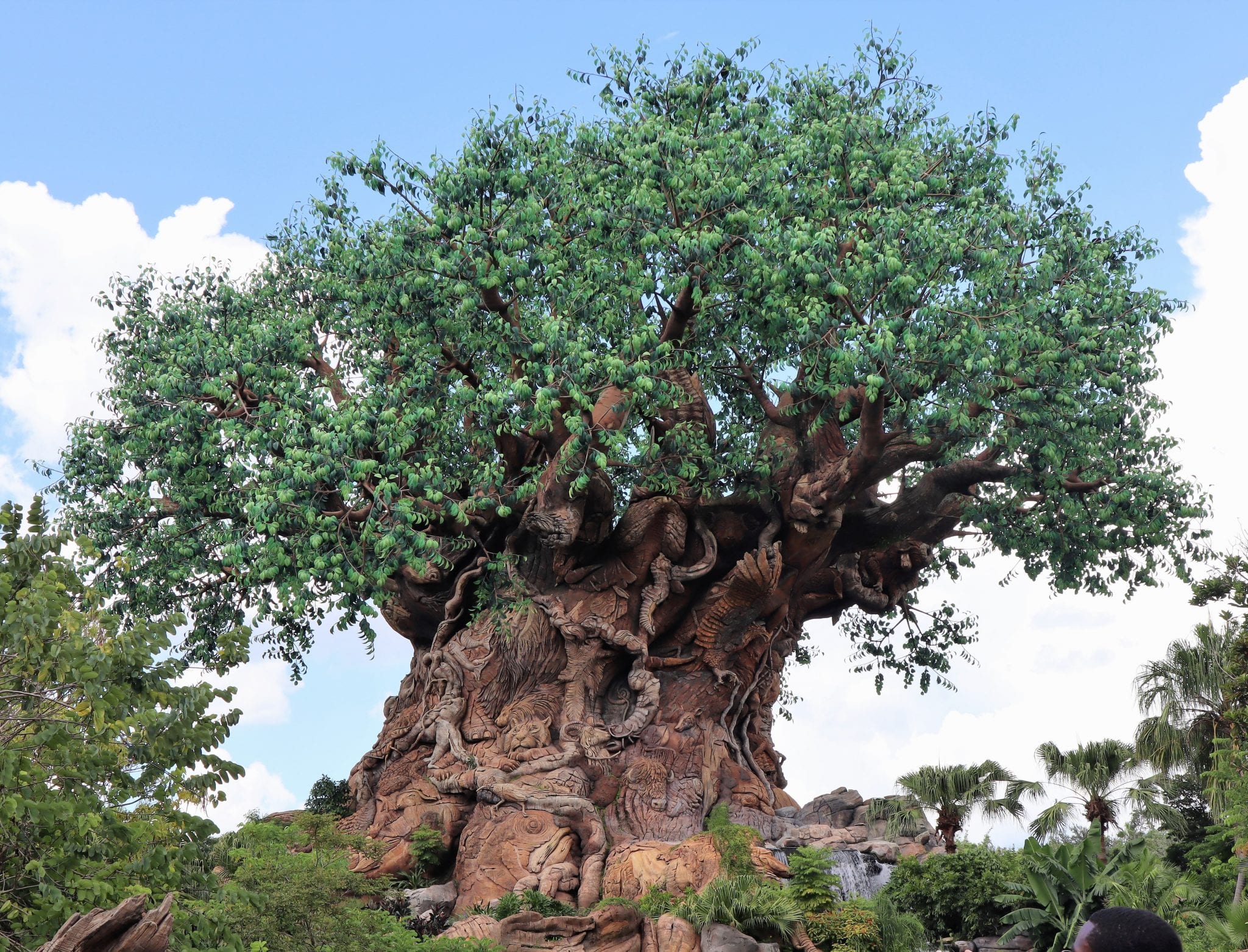 What Is The Best Age To Take Kids To Disney World? Young Family Travel Tips. Lara Joanna Jarvis