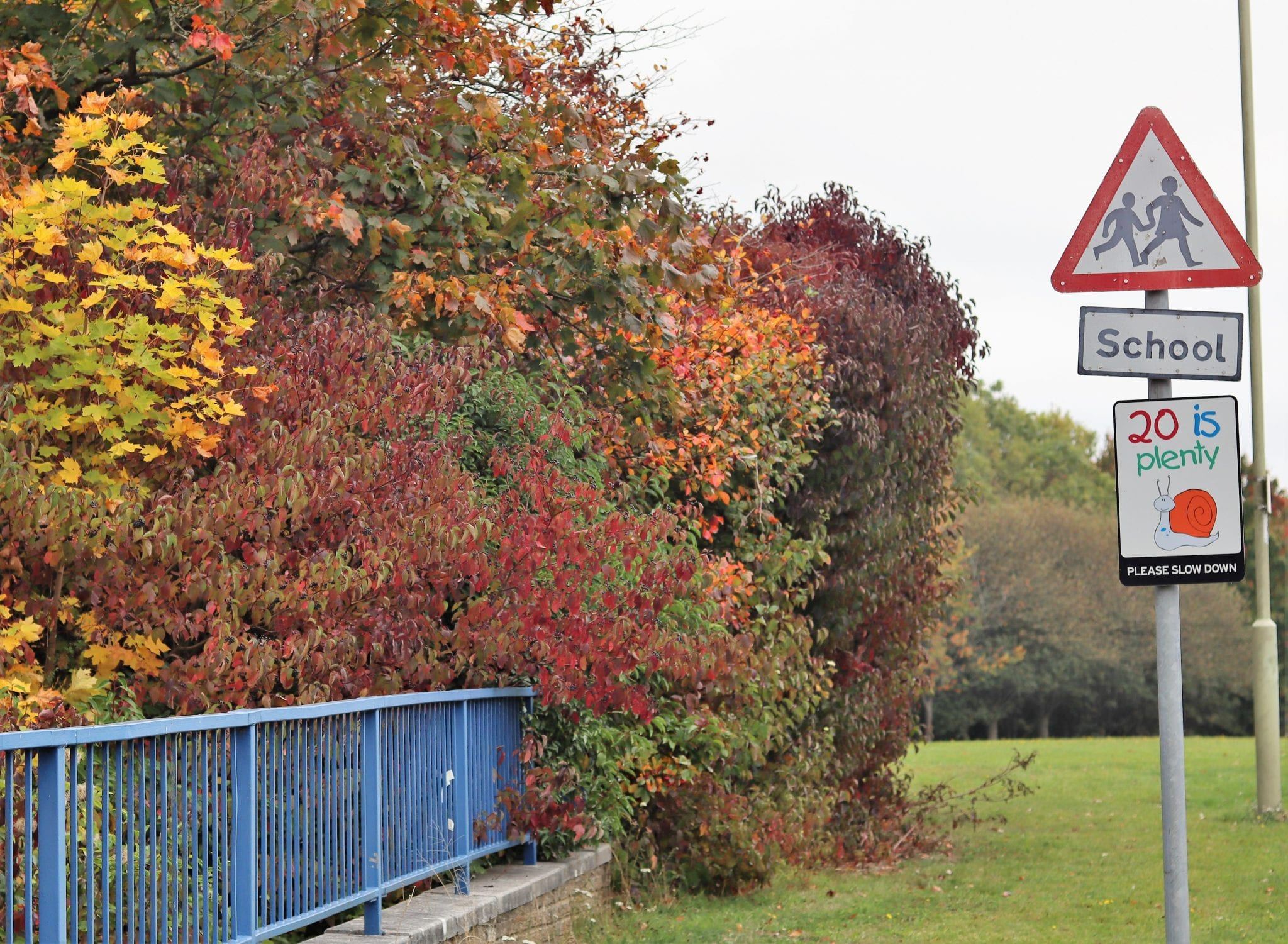 School Run Survival Guide With Aviva Lara Joanna Jarvis