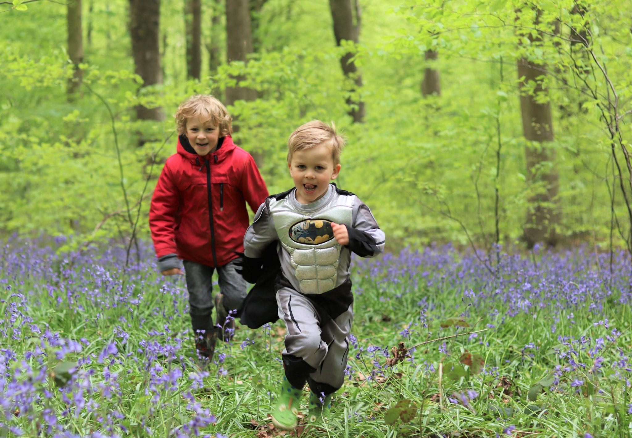 Bluebells In Hampshire - Micheldever Woods. Lara Joanna Jarvis