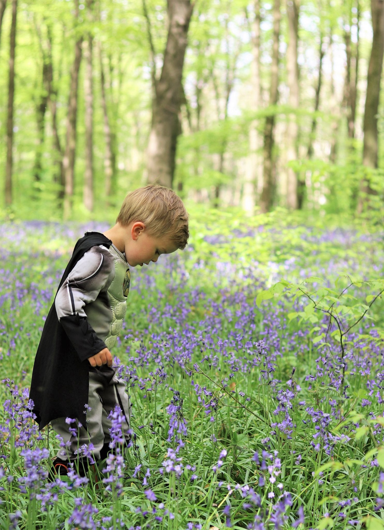 Bluebells In Hampshire - Micheldever Woods. Lara Joanna Jarvis