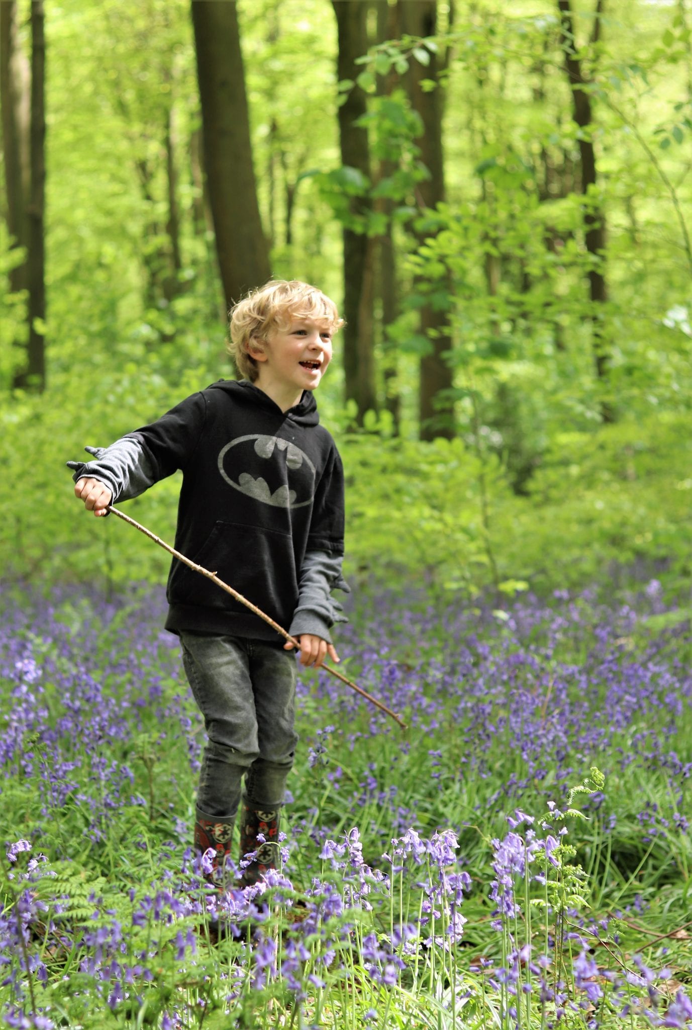 Bluebells In Hampshire - Micheldever Woods. Lara Joanna Jarvis Bluebells In Hampshire - Micheldever Woods. Lara Joanna Jarvis
