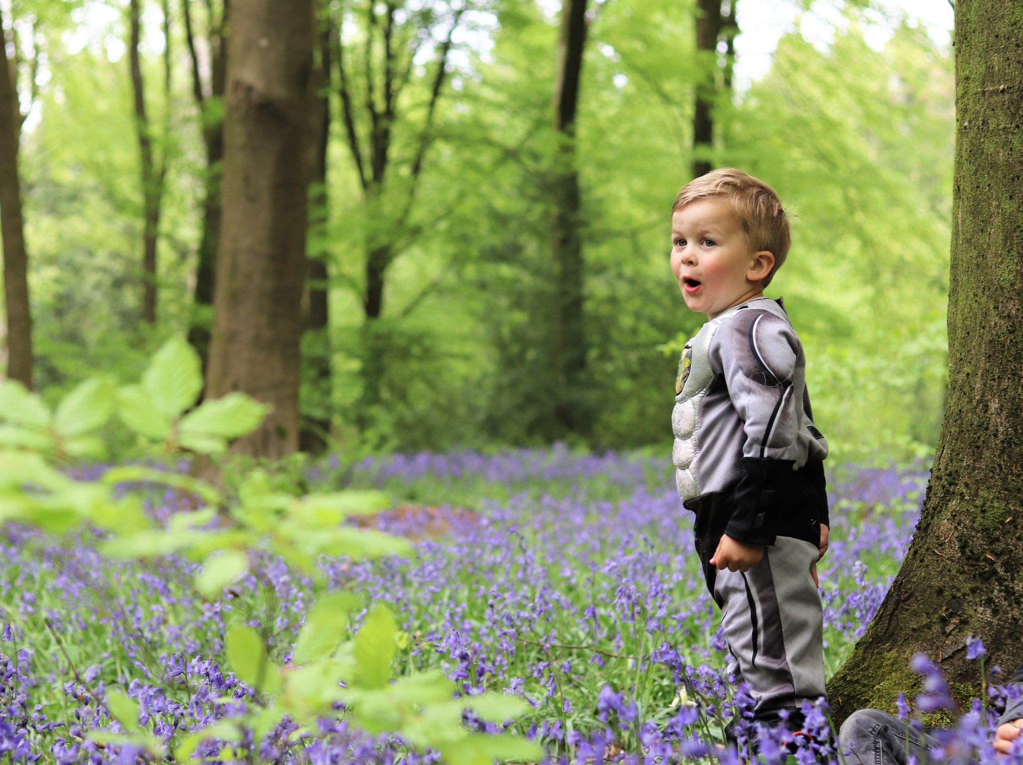 Bluebells In Hampshire - Micheldever Woods. Lara Joanna Jarvis