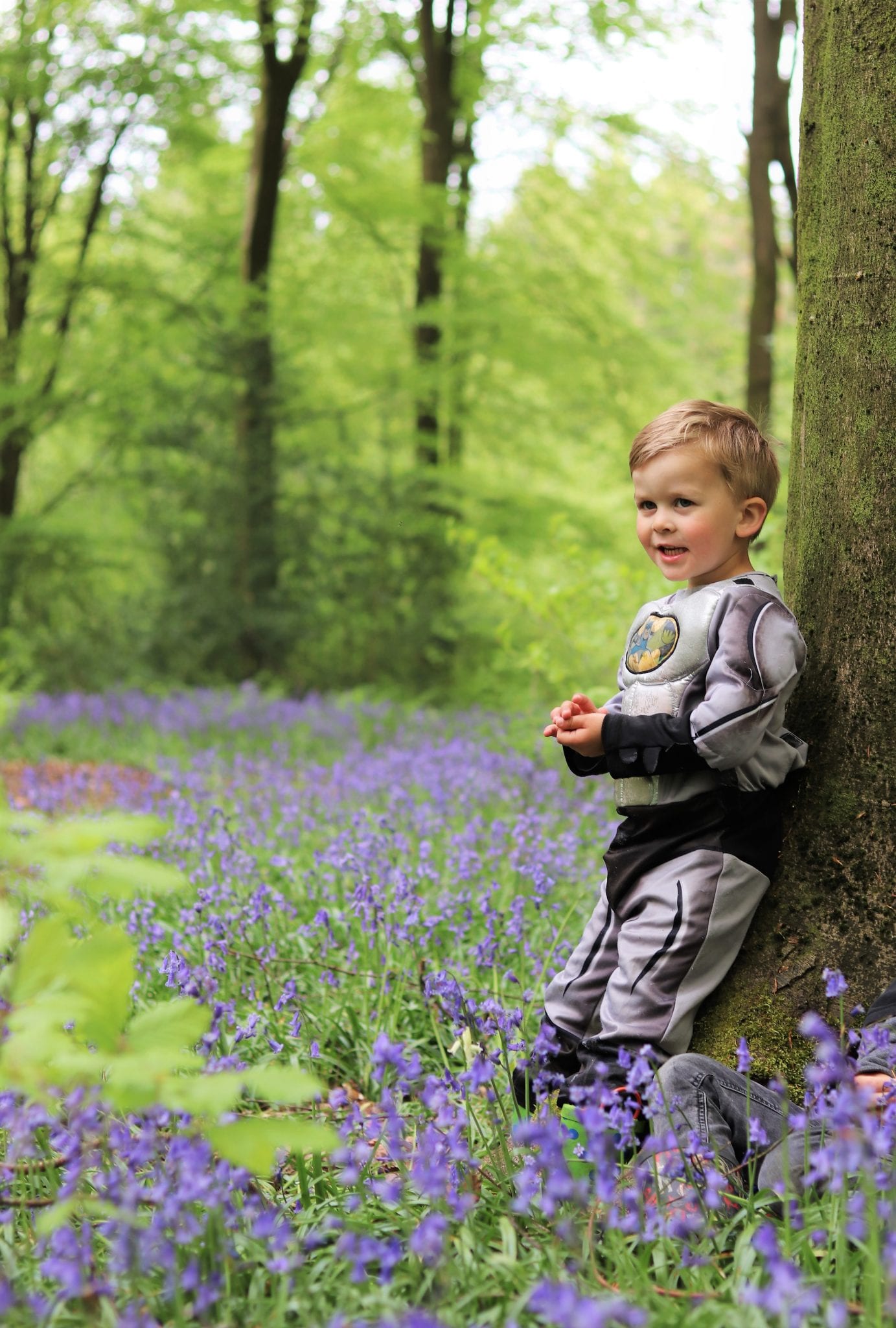 Bluebells In Hampshire - Micheldever Woods. Lara Joanna Jarvis