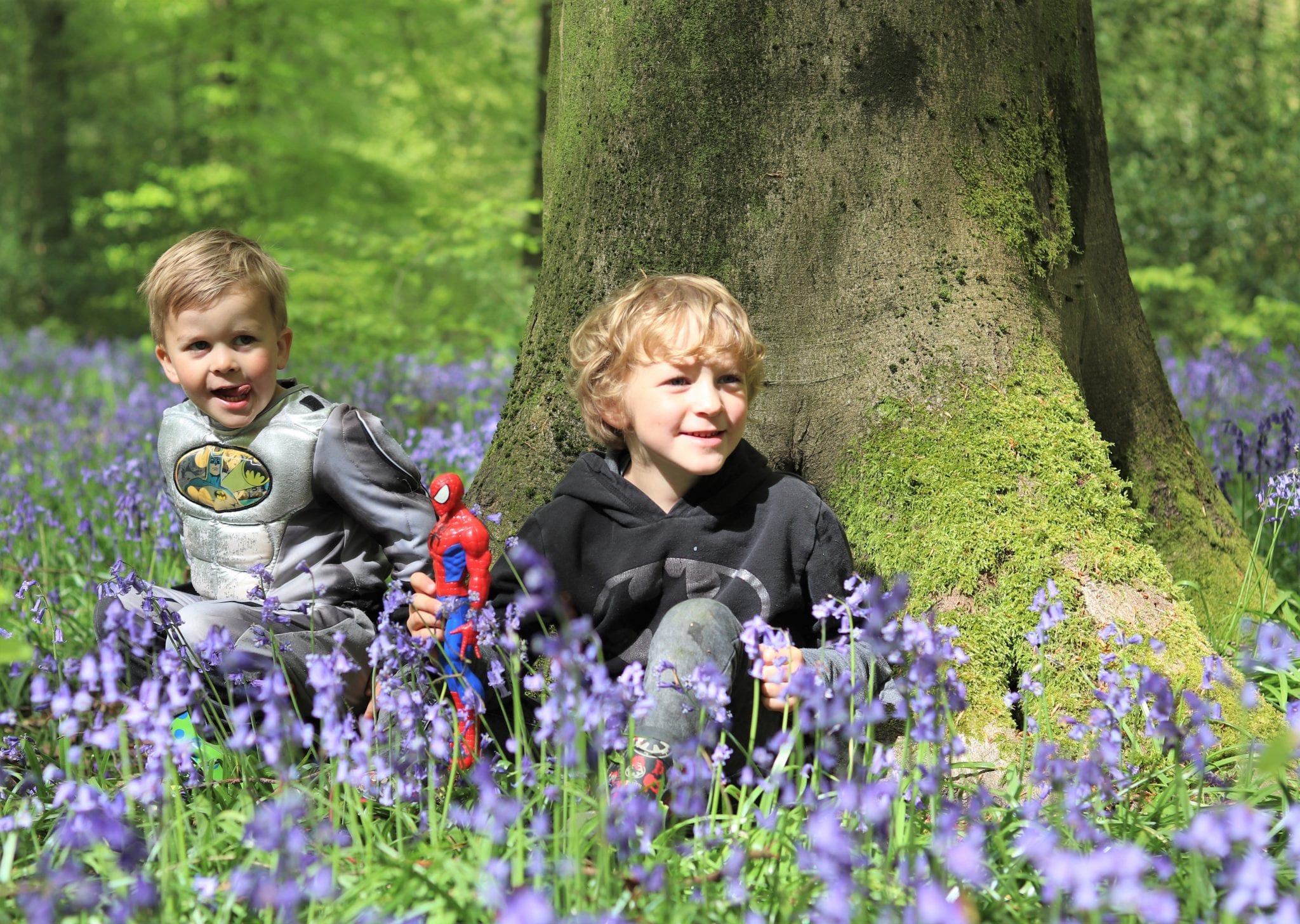 Bluebells In Hampshire - Micheldever Woods. Lara Joanna Jarvis Bluebells In Hampshire - Micheldever Woods. Lara Joanna Jarvis