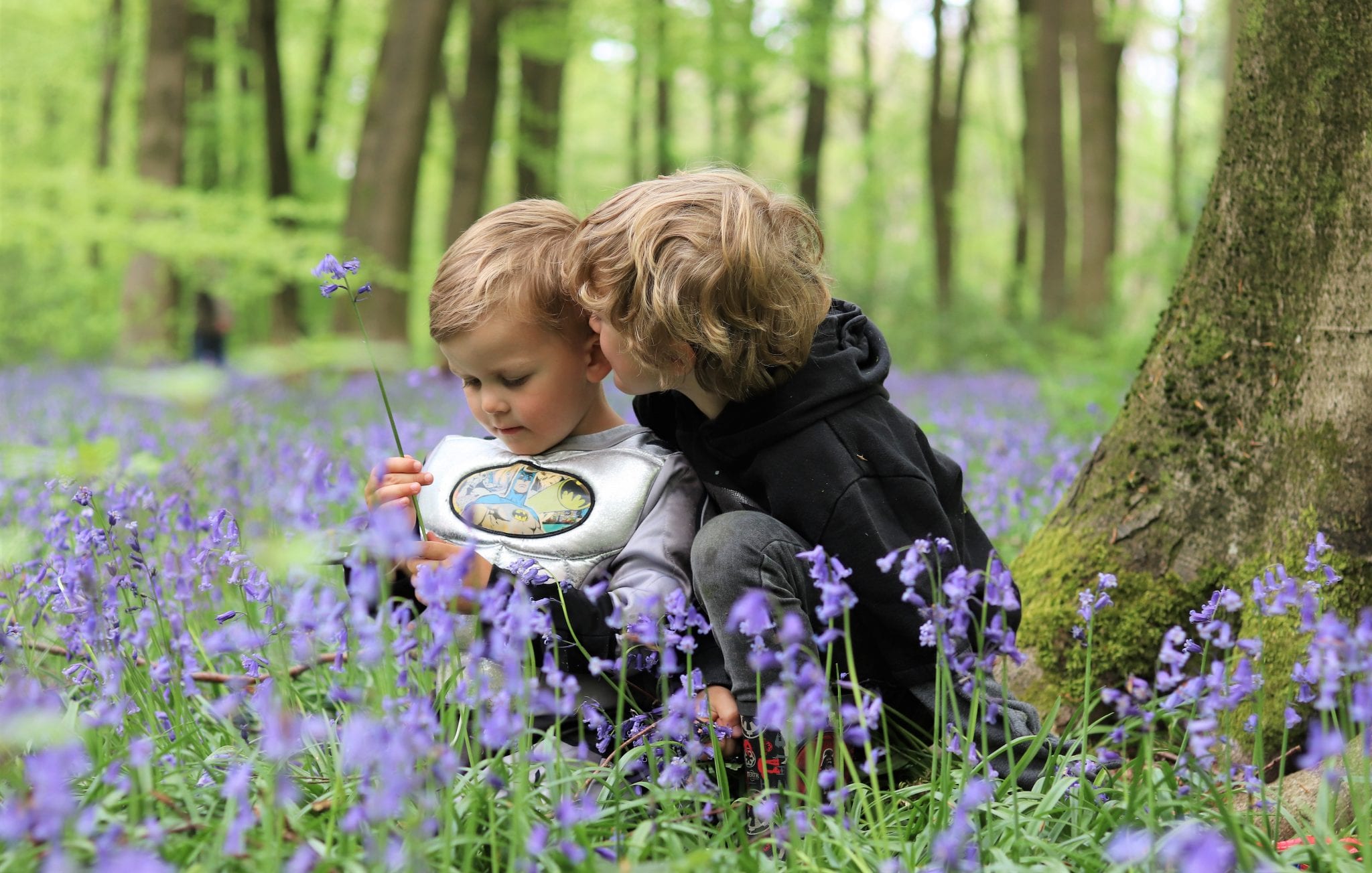 Bluebells In Hampshire - Micheldever Woods. Lara Joanna Jarvis