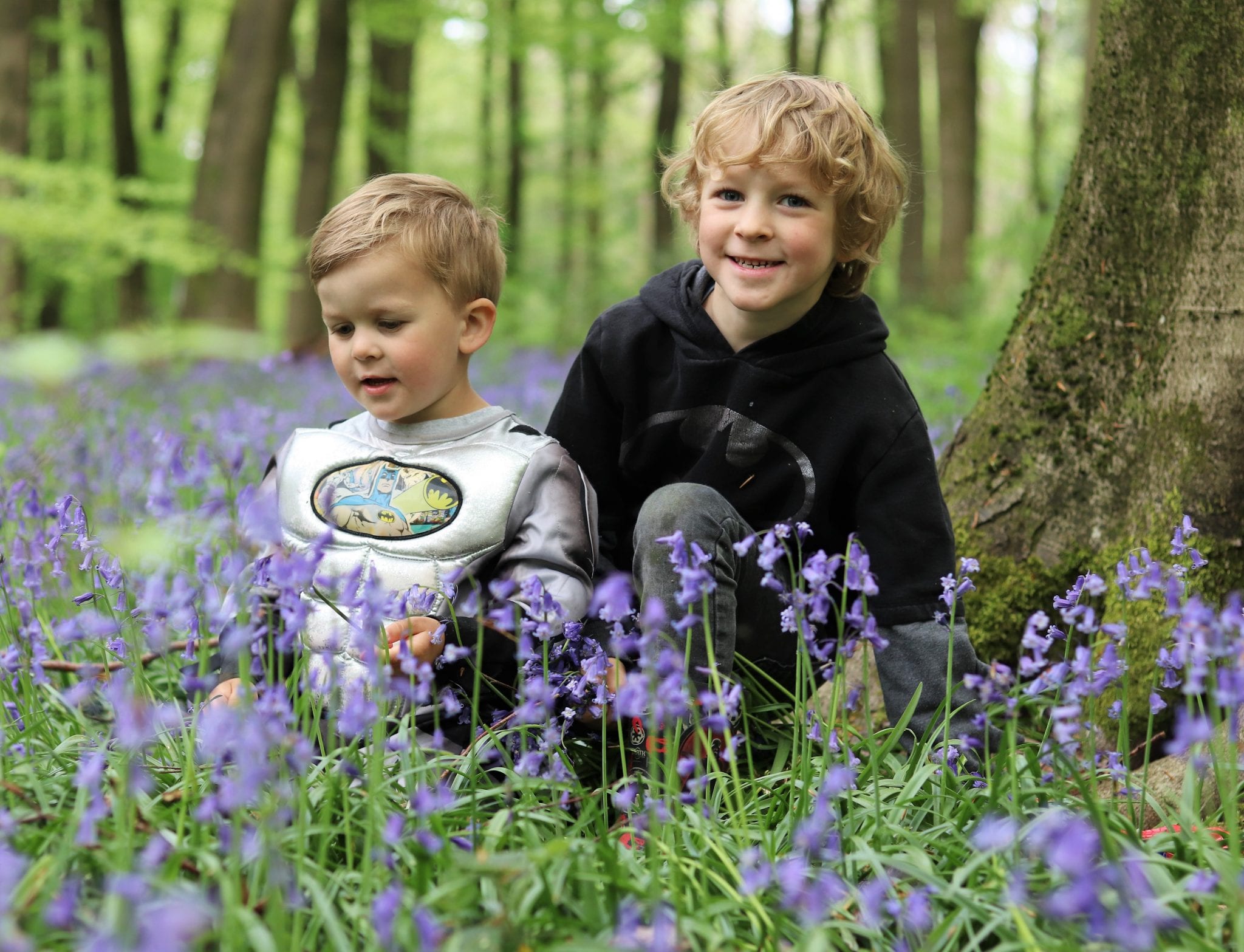 Bluebells In Hampshire - Micheldever Woods. Lara Joanna Jarvis