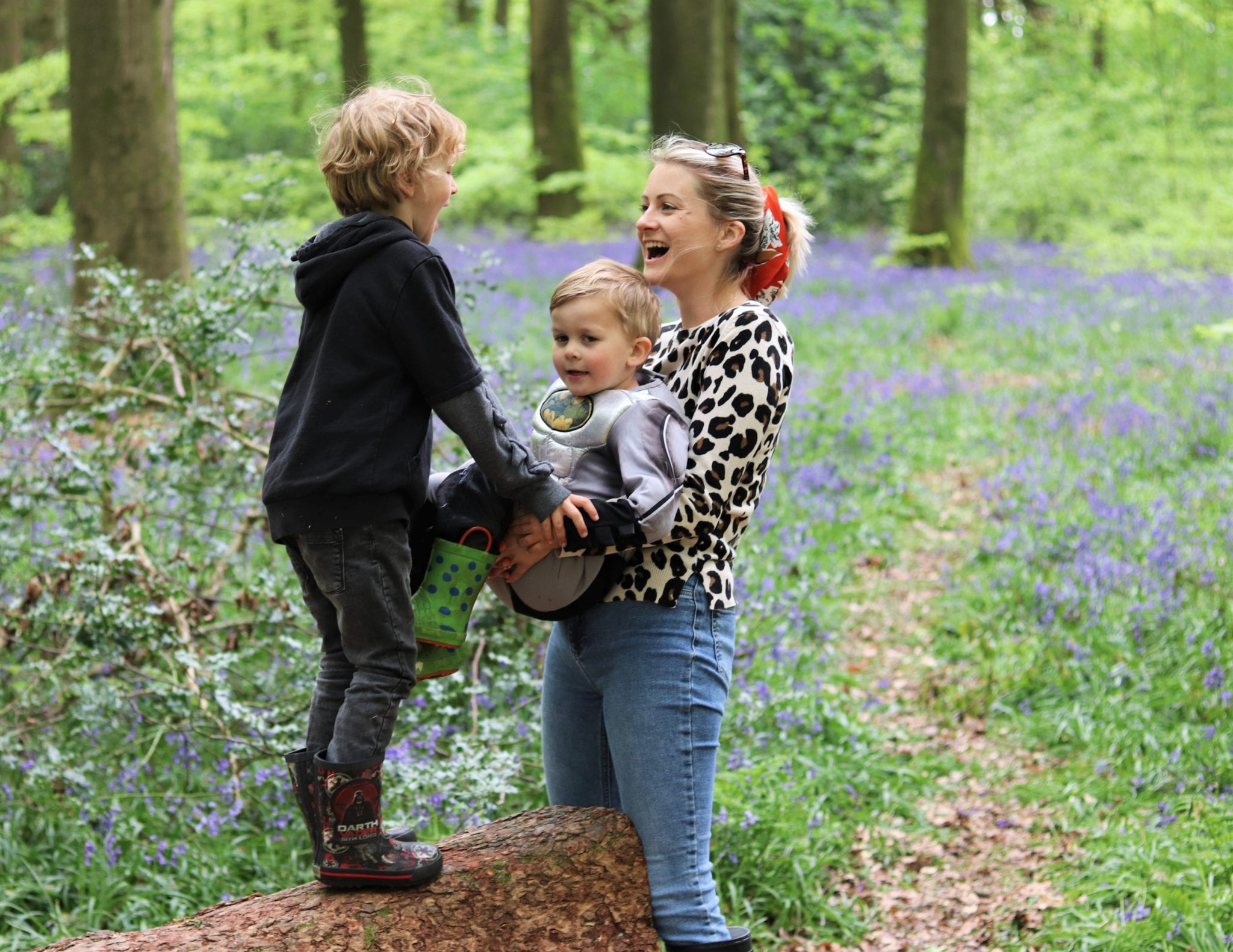 Bluebells In Hampshire - Micheldever Woods. Lara Joanna Jarvis