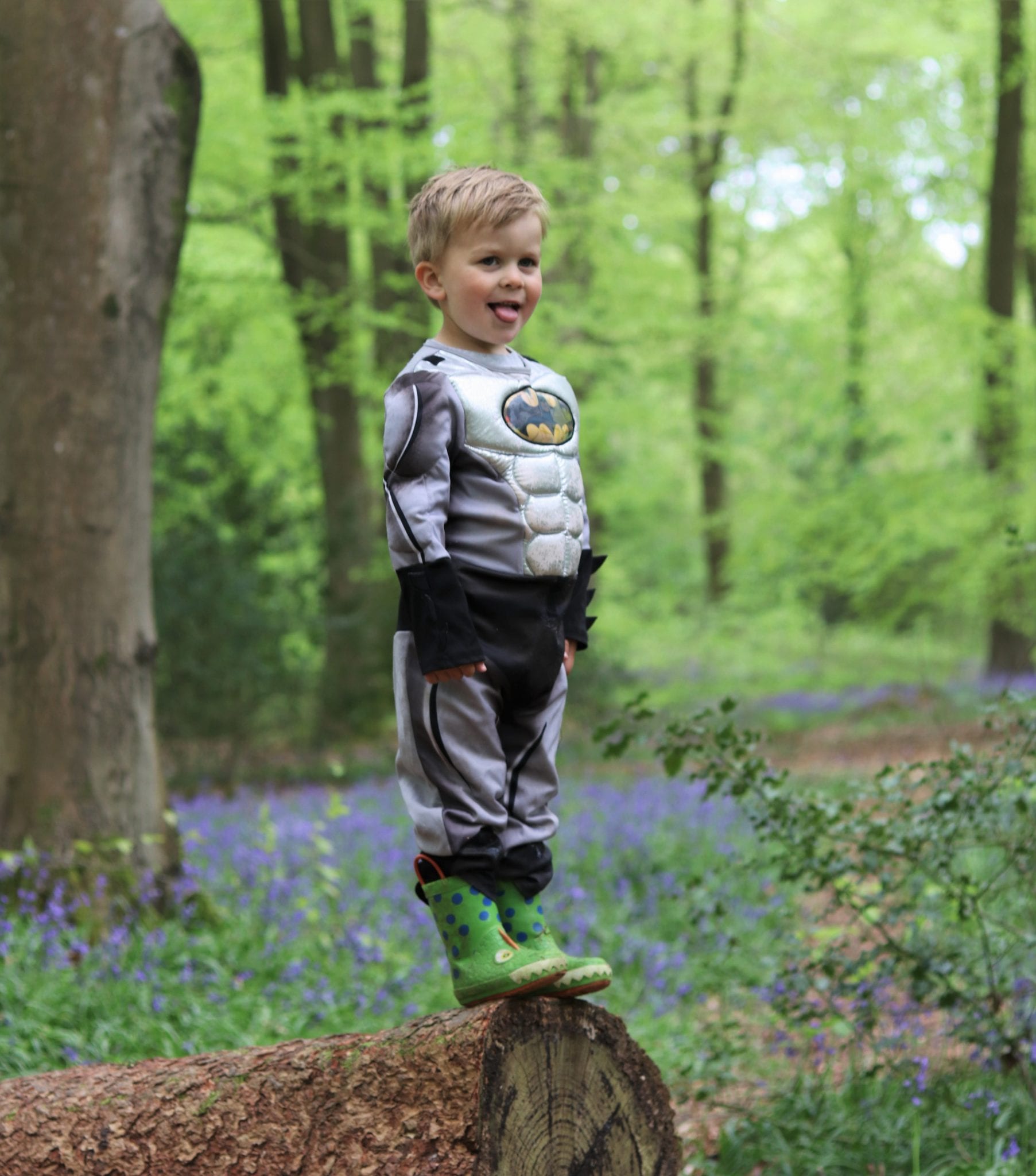 Bluebells In Hampshire - Micheldever Woods. Lara Joanna Jarvis Bluebells In Hampshire - Micheldever Woods. Lara Joanna Jarvis