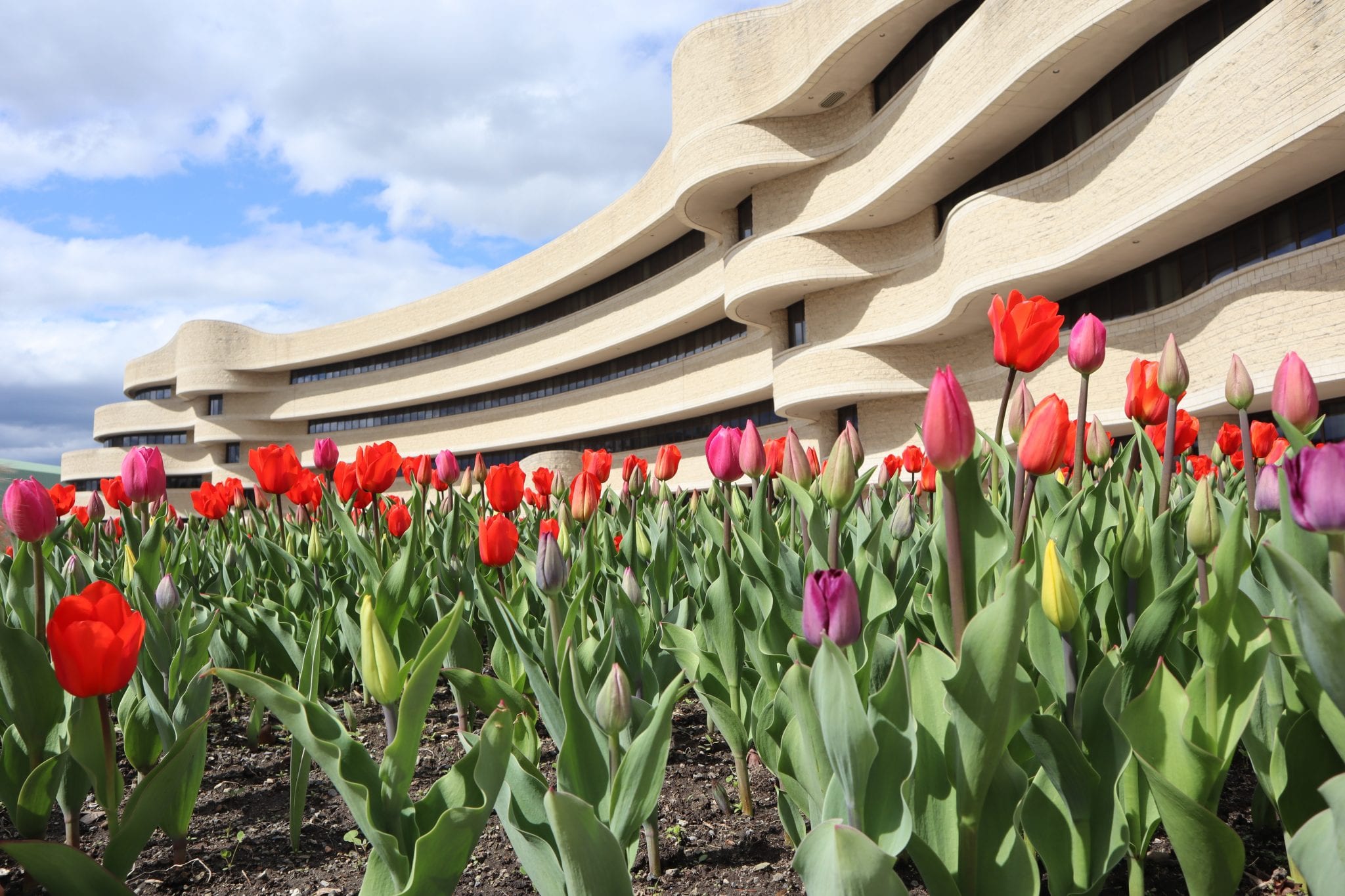 Things To Do In Ottawa With Kids – Best Places To Visit In Canada Lara Joanna Jarvis Things To Do In Ottawa With Kids – Best Places To Visit In Canada Lara Joanna Jarvis