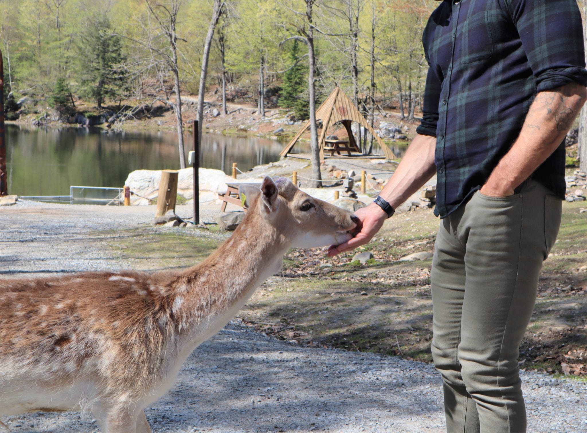 Omega Park: A One-of-a-Kind Canadian Safari In Quebec. Lara Joanna Jarvis