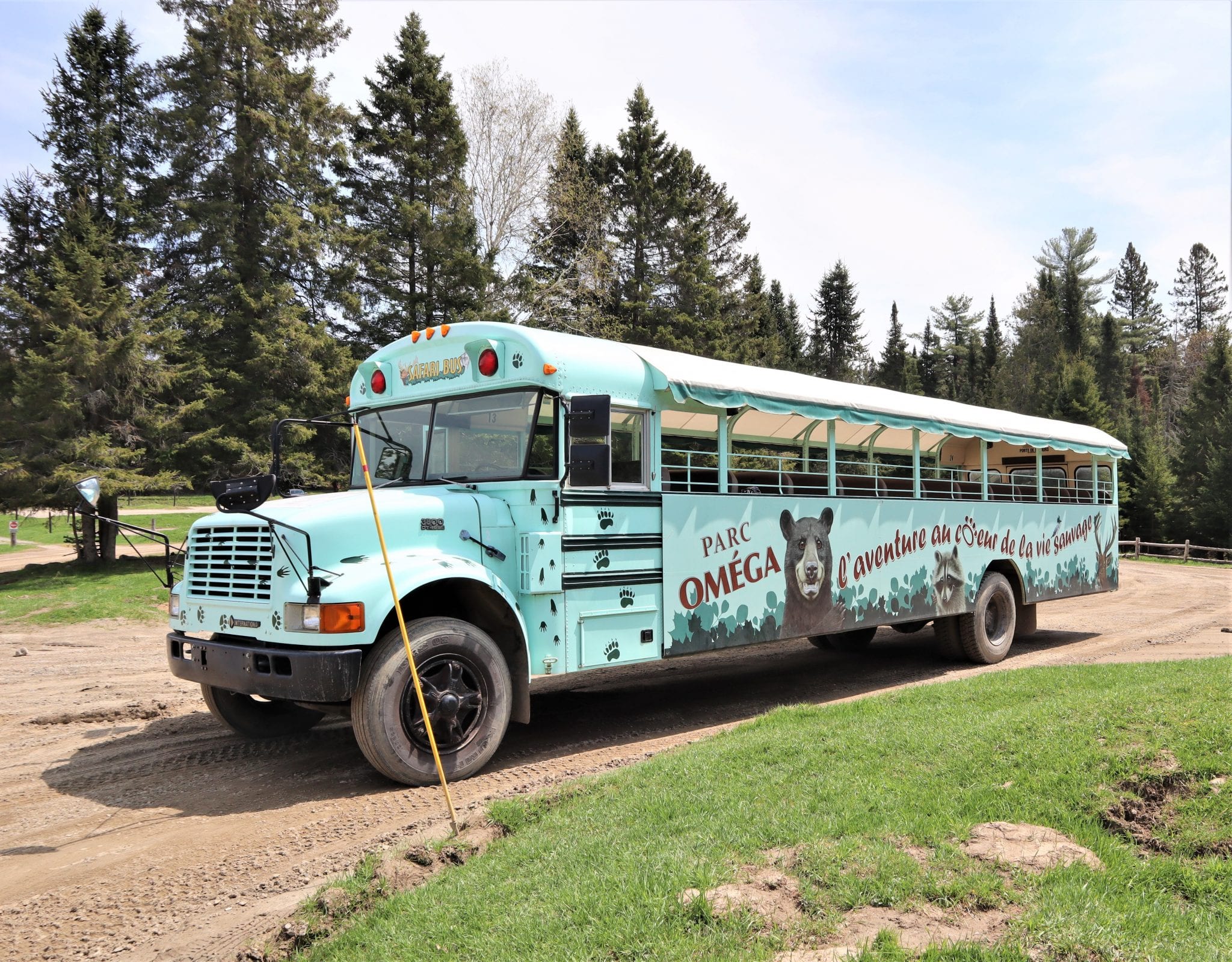 Omega Park: A One-of-a-Kind Canadian Safari In Quebec. Lara Joanna Jarvis