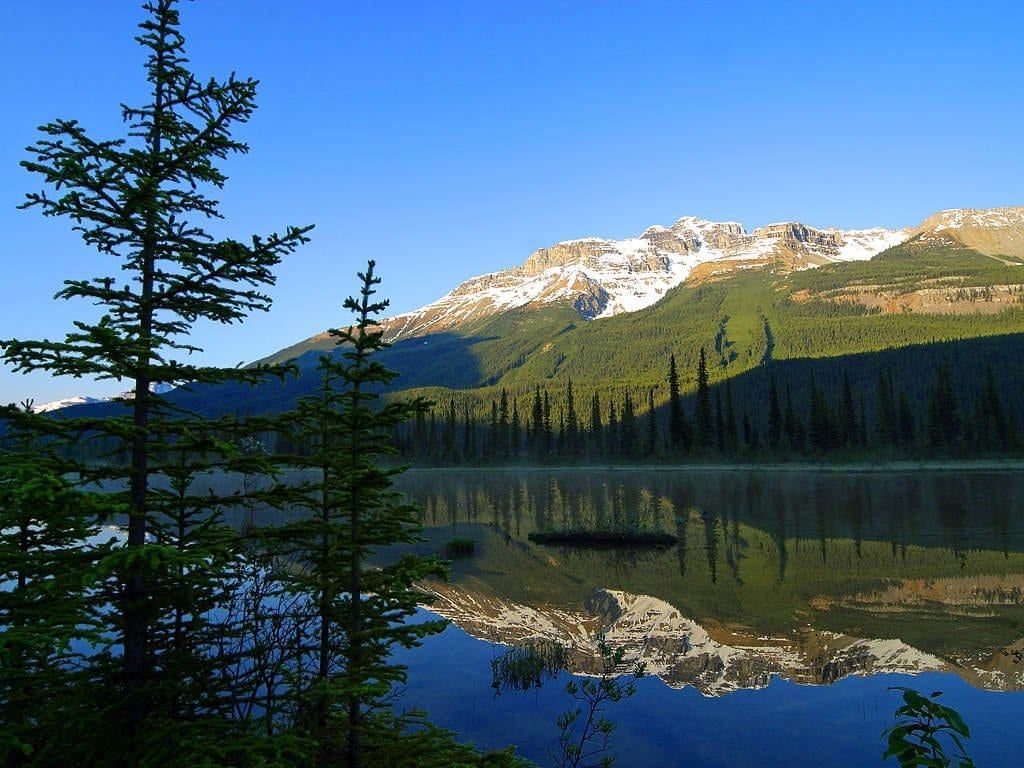 Top Attractions for Family Travel in Canada Lara Joanna Jarvis