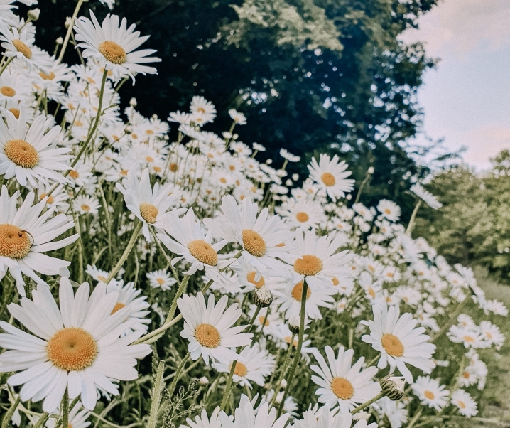 How To Keep Positive During Self Isolation & Lockdown.